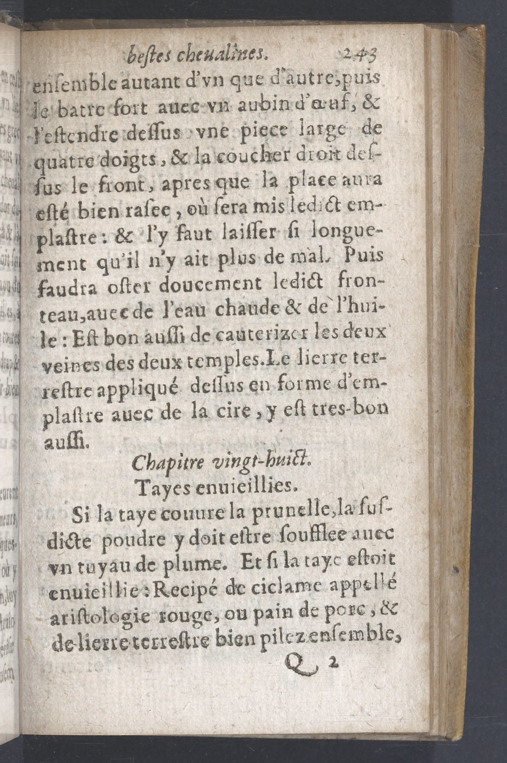 1619 - Pierre Rigaud - Trésor des bêtes chevalines - BnF