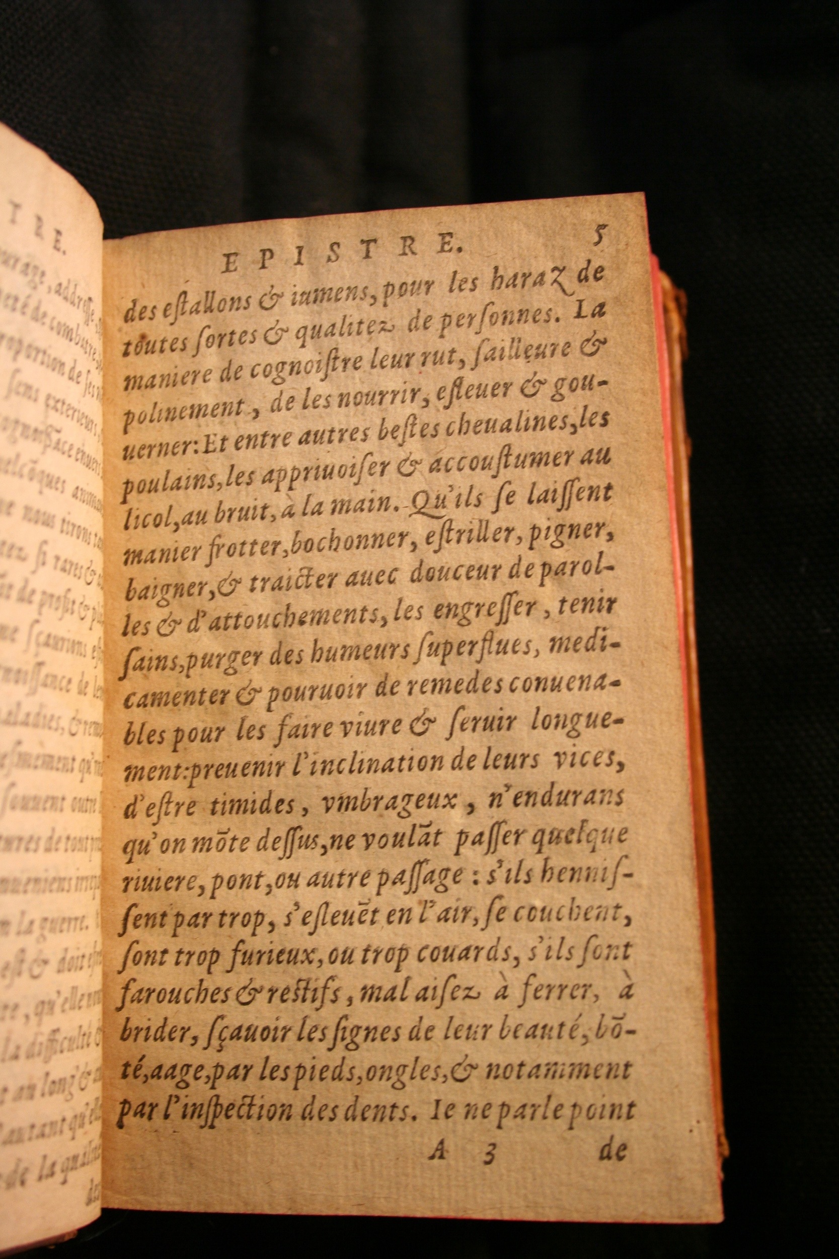 1591 - Pierre Chastaing et Benoît Rigaud - Trésor des bêtes chevalines - BM Bordeaux