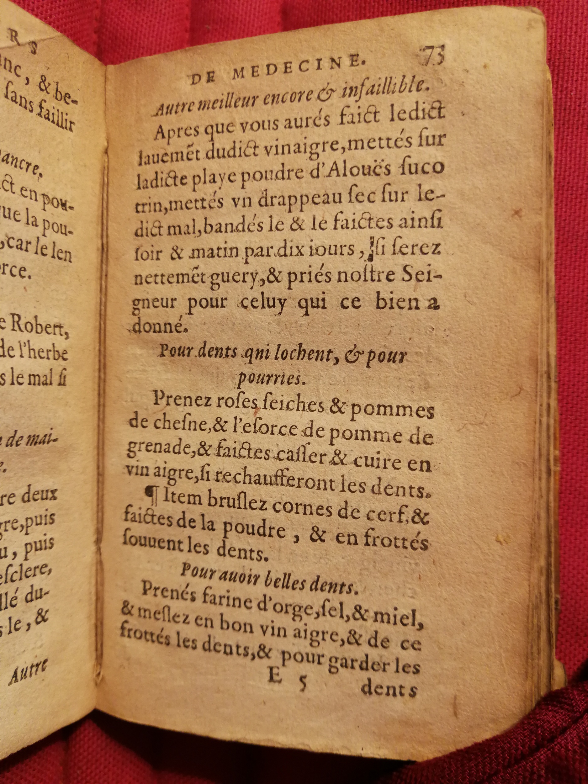 1586 - Benoît Rigaud - Trésor des fleurs et secrets de médecine - Sainte-Geneviève
