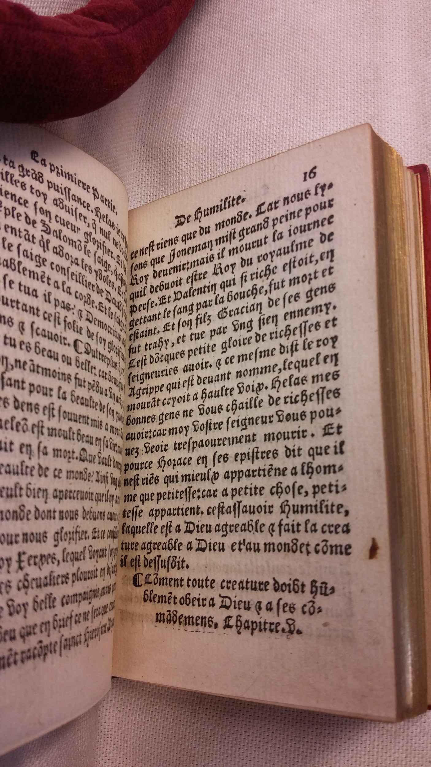 1542 - Denis de Harsy - Trésor de sapience et fleur de toute bonté - BIS