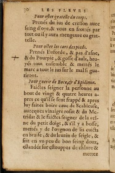1586 - Benoît Rigaud - Trésor des fleurs et secrets de médecine - Université Paris Cité 1586 - Benoît Rigaud - Trésor des fleurs et secrets de médecine - Université Paris Cité