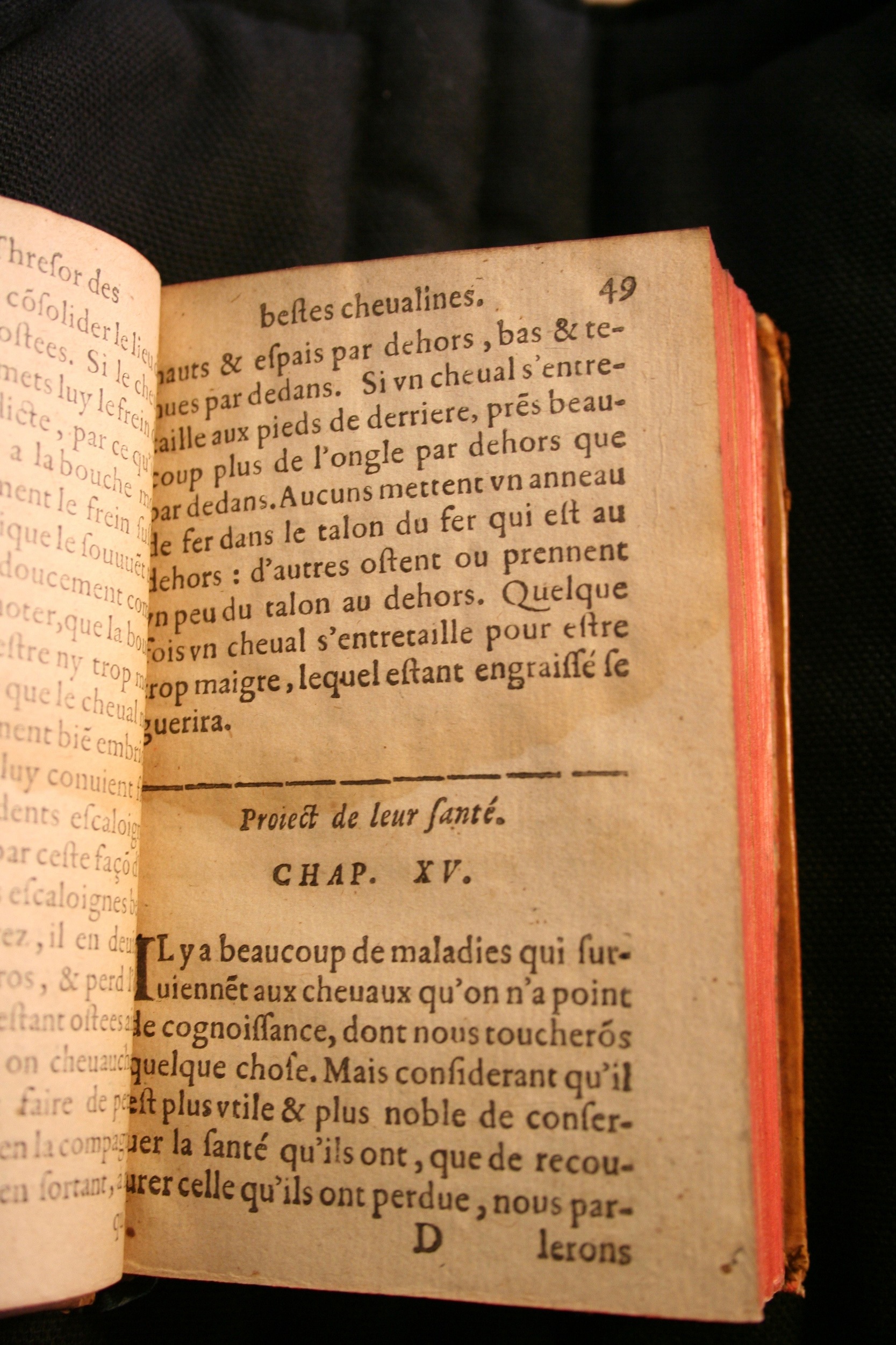 1591 - Pierre Chastaing et Benoît Rigaud - Trésor des bêtes chevalines - BM Bordeaux 1591 - Pierre Chastaing et Benoît Rigaud - Trésor des bêtes chevalines - BM Bordeaux