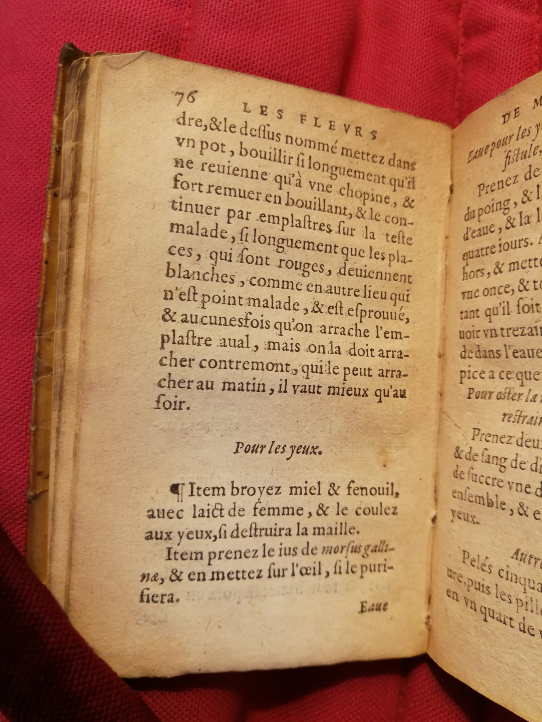 1586 - Benoît Rigaud - Trésor des fleurs et secrets de médecine - Sainte-Geneviève
