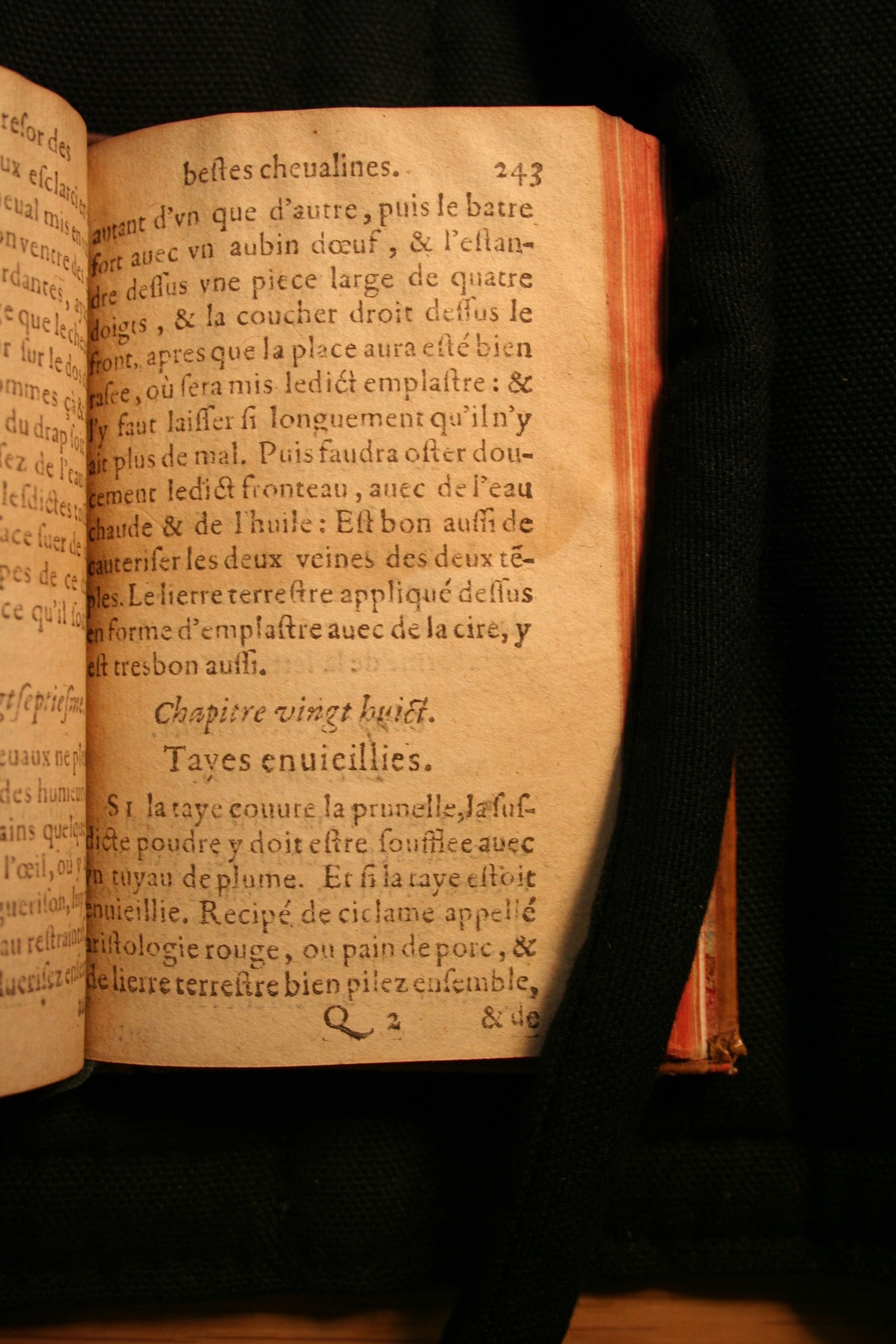 1591 - Pierre Chastaing et Benoît Rigaud - Trésor des bêtes chevalines - BM Bordeaux
