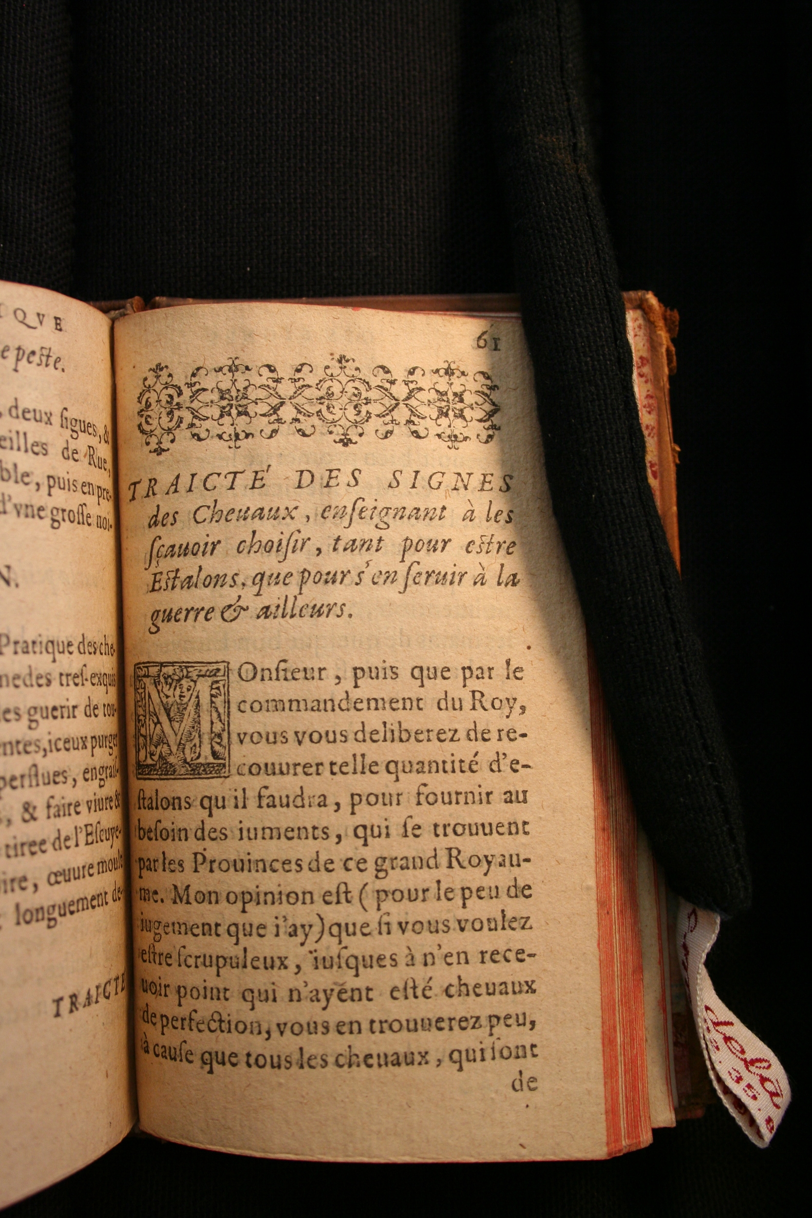 1591 - Pierre Chastaing et Benoît Rigaud - Trésor des bêtes chevalines - BM Bordeaux