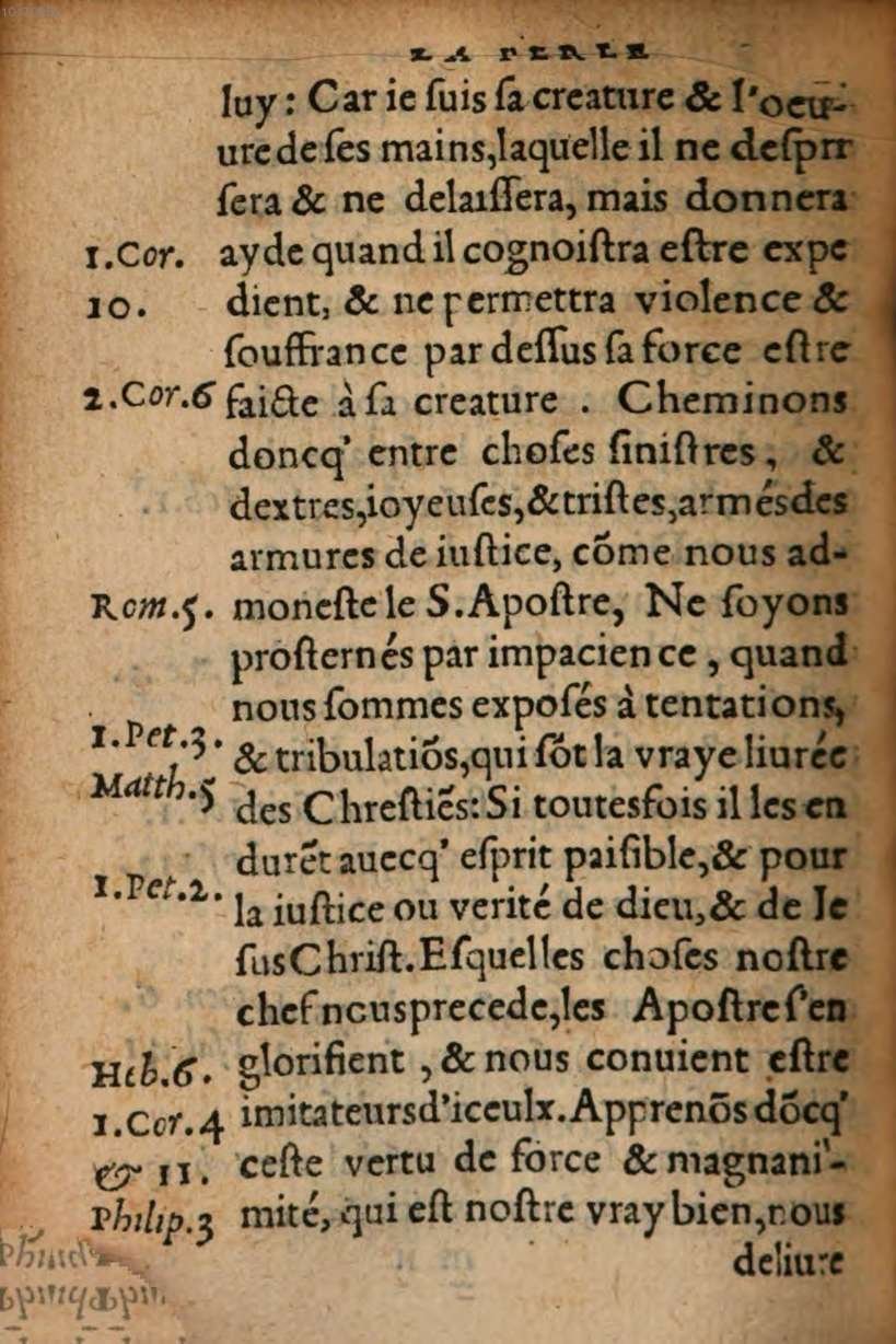 1548 - René Avril et Vivant Gaulterot - Perle précieuse évangélique et Trésor divin - BSB Munich