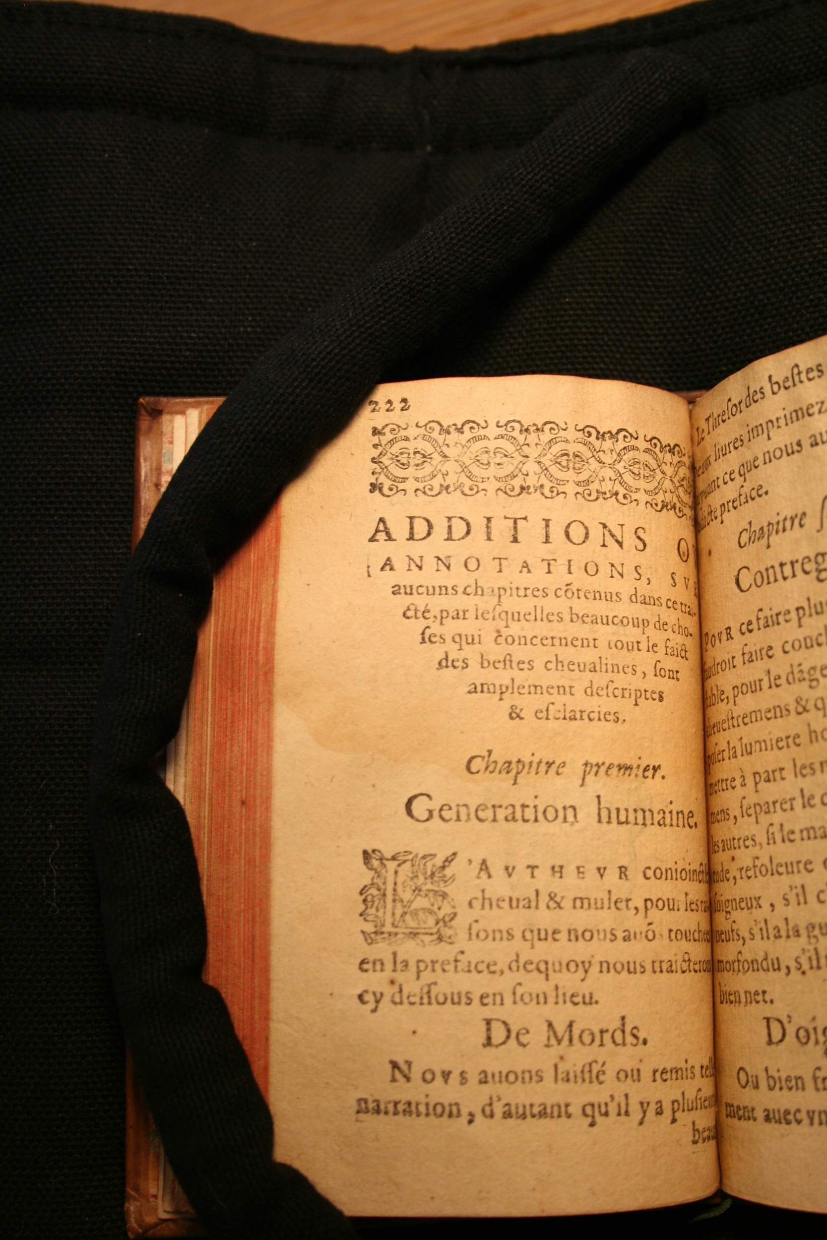 1591 - Pierre Chastaing et Benoît Rigaud - Trésor des bêtes chevalines - BM Bordeaux
