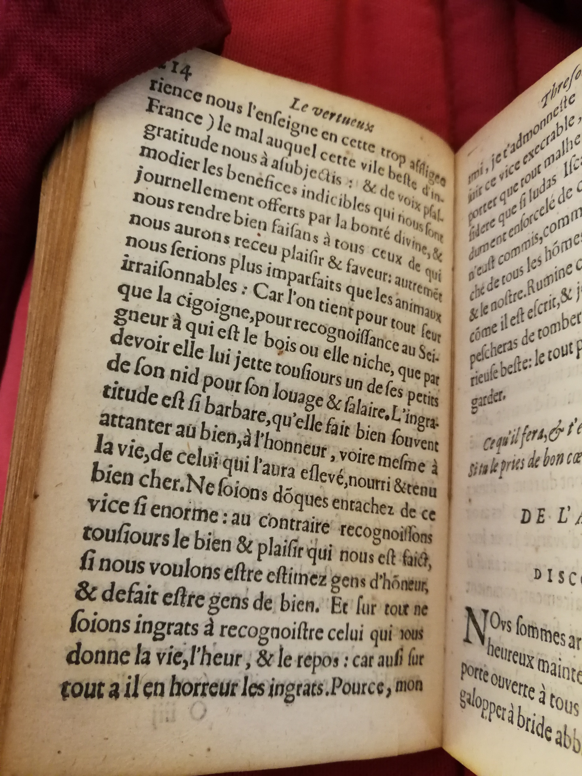 1599 - Thomas Portau - Vertueux trésor - Bibliothèque Sainte-Geneviève