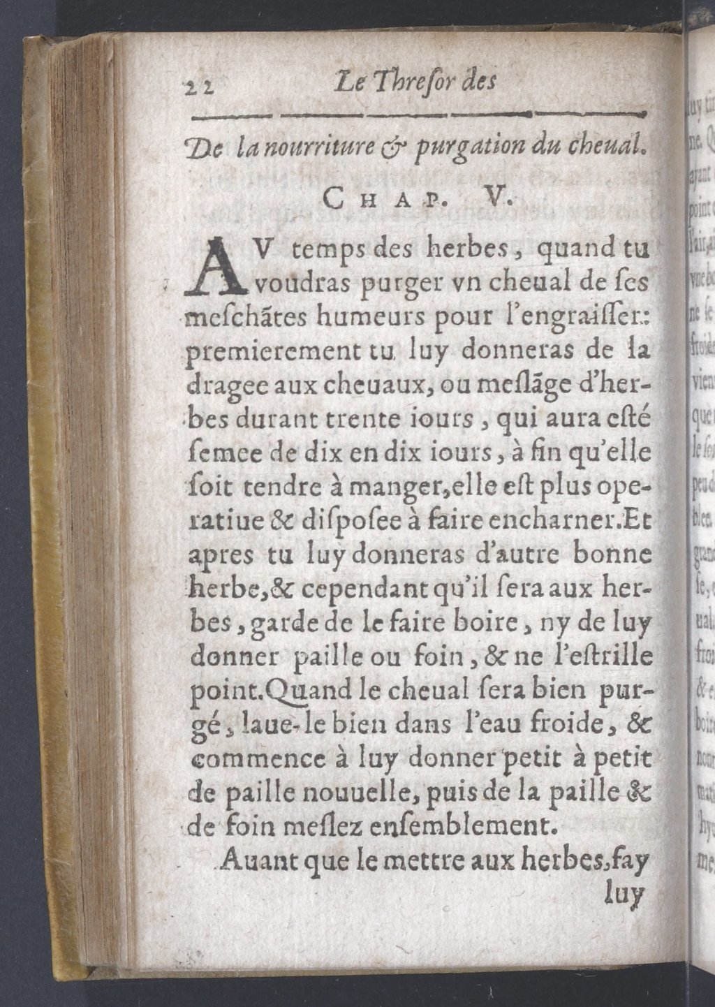 1619 - Pierre Rigaud - Trésor des bêtes chevalines - BnF