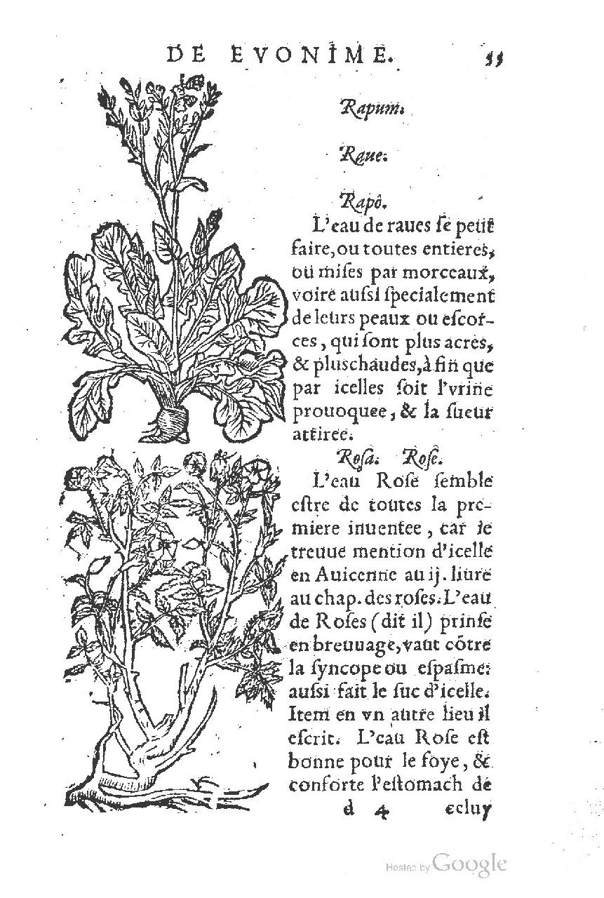 1557 - Antoine Vincent - Trésor d’Evonyme Philiatre - UC Madrid