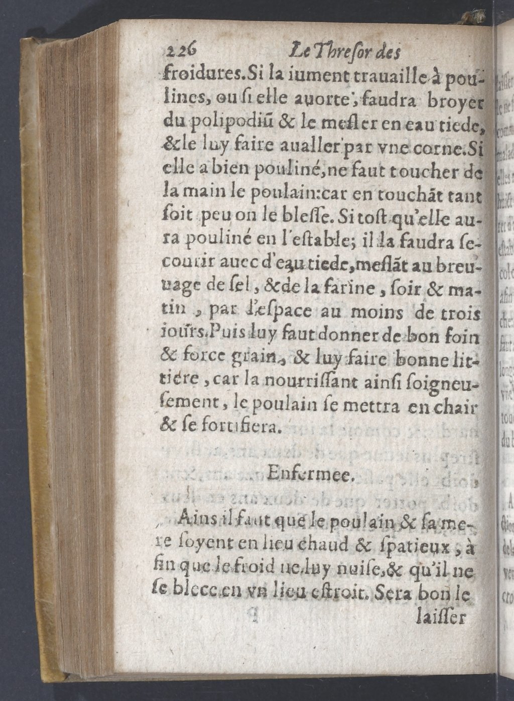 1619 - Pierre Rigaud - Trésor des bêtes chevalines - BnF