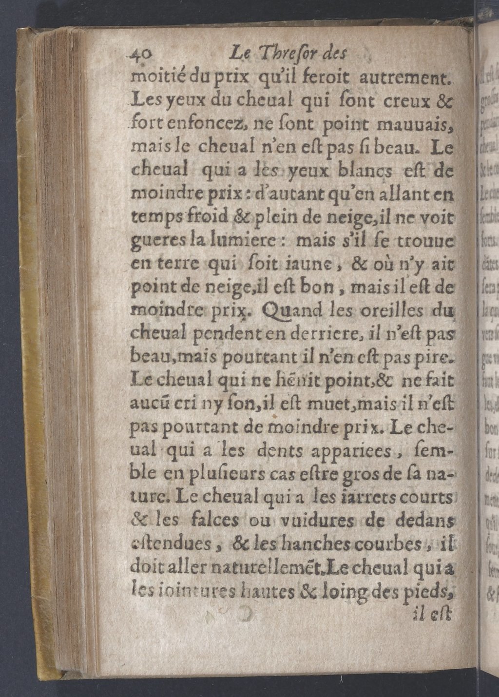 1619 - Pierre Rigaud - Trésor des bêtes chevalines - BnF
