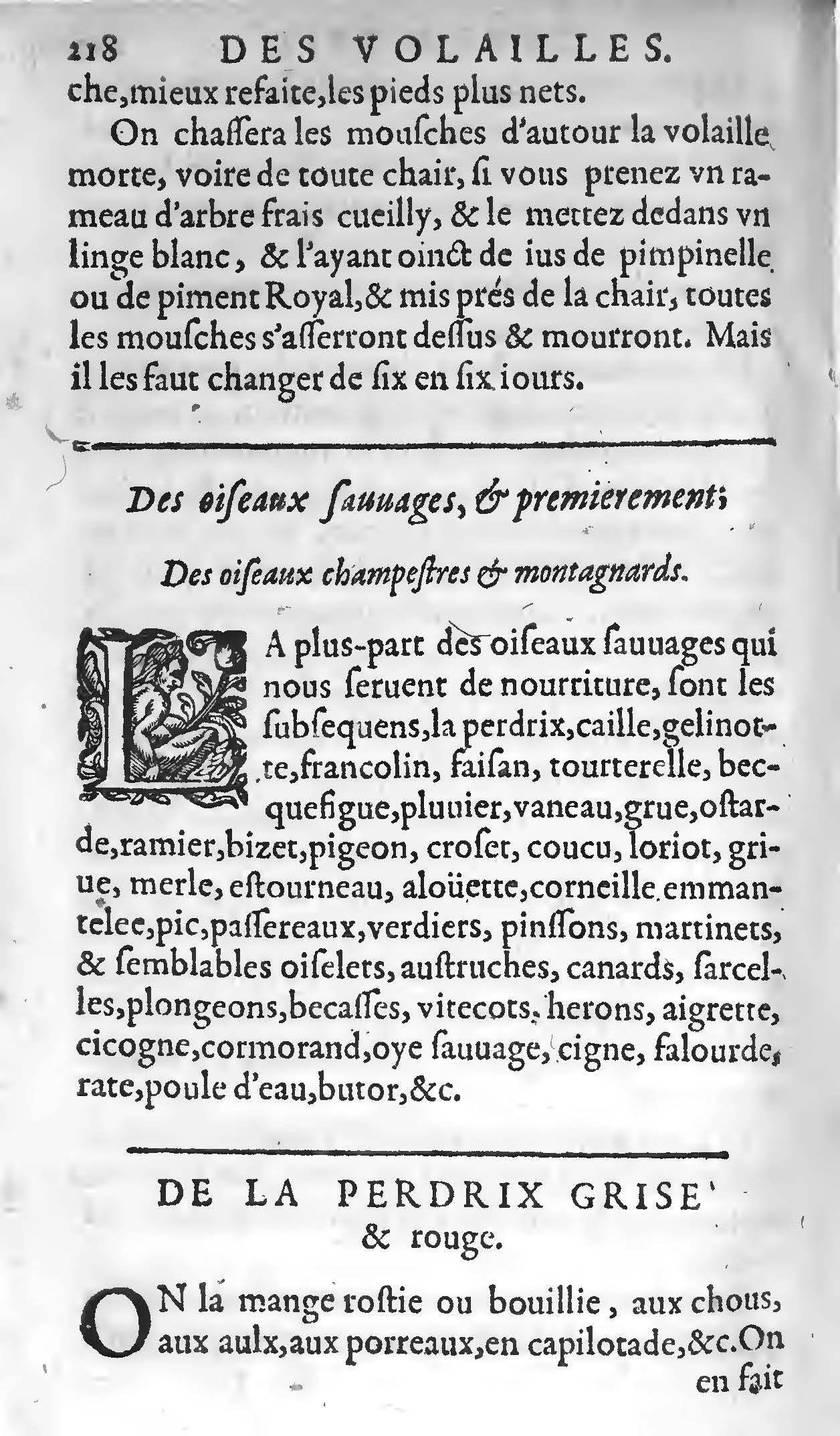 1607 - Étienne Servain et Jean Antoine Huguetan - Trésor de santé ou ménage de la vie humaine - BIU Santé
