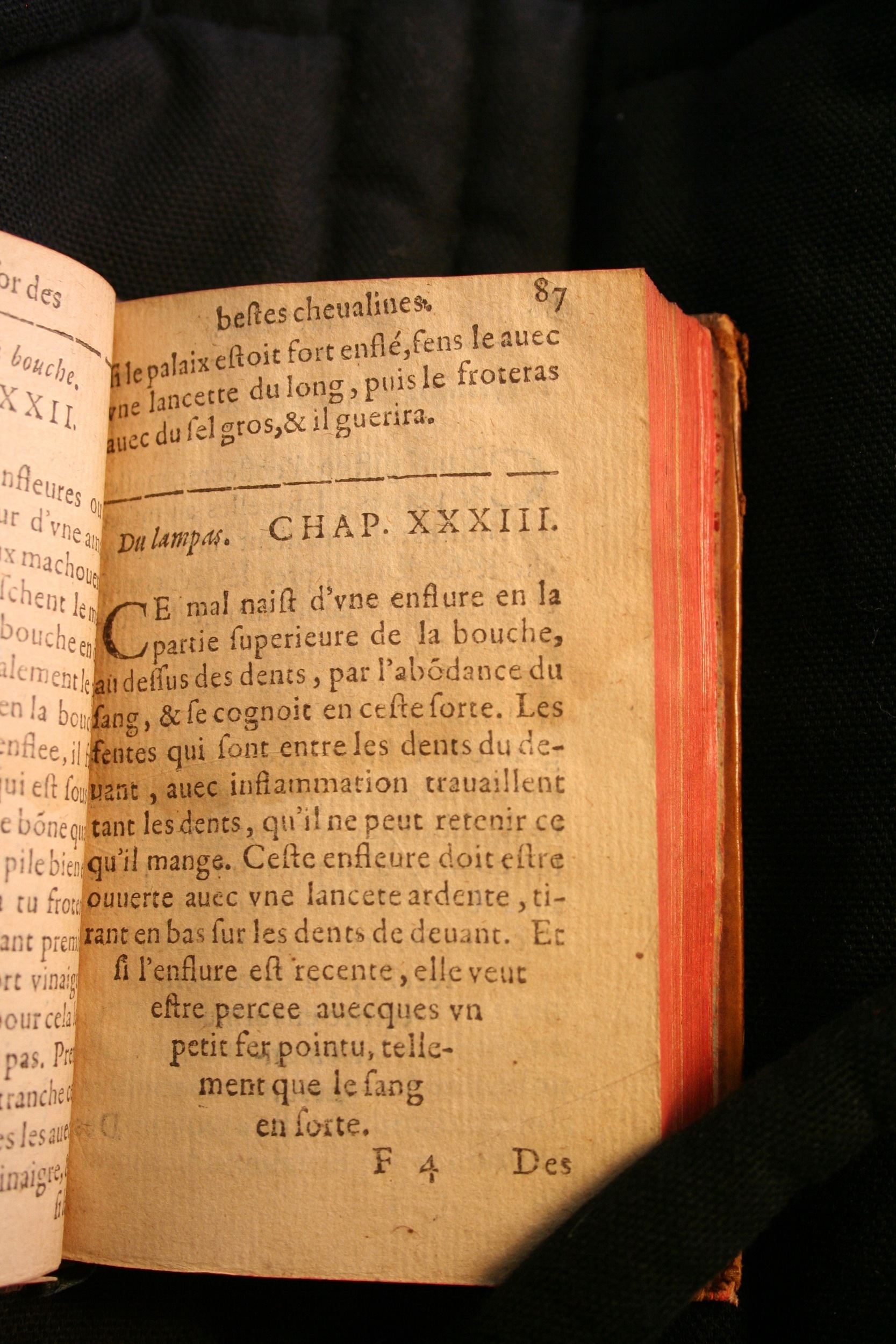 1591 - Pierre Chastaing et Benoît Rigaud - Trésor des bêtes chevalines - BM Bordeaux