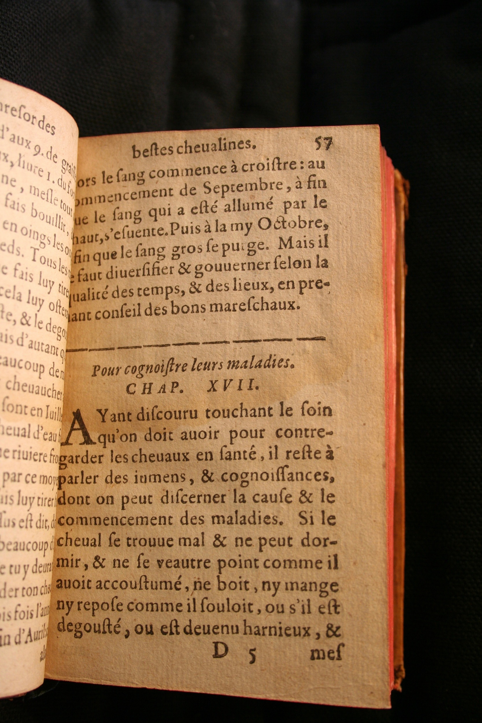 1591 - Pierre Chastaing et Benoît Rigaud - Trésor des bêtes chevalines - BM Bordeaux