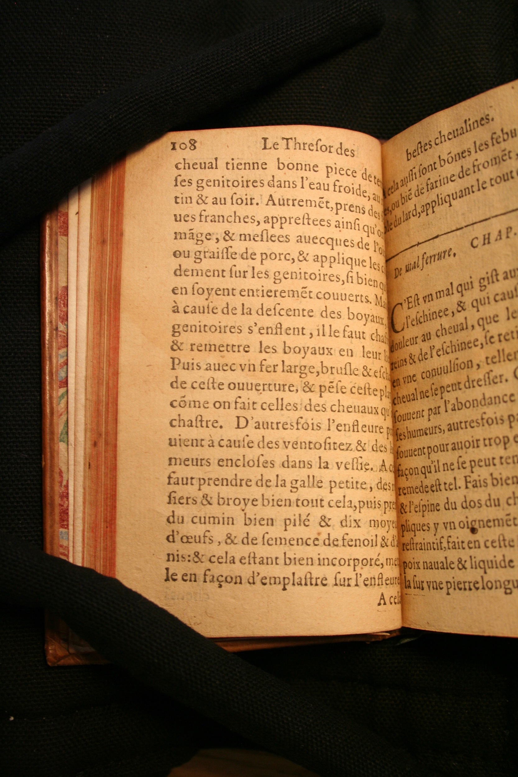 1591 - Pierre Chastaing et Benoît Rigaud - Trésor des bêtes chevalines - BM Bordeaux