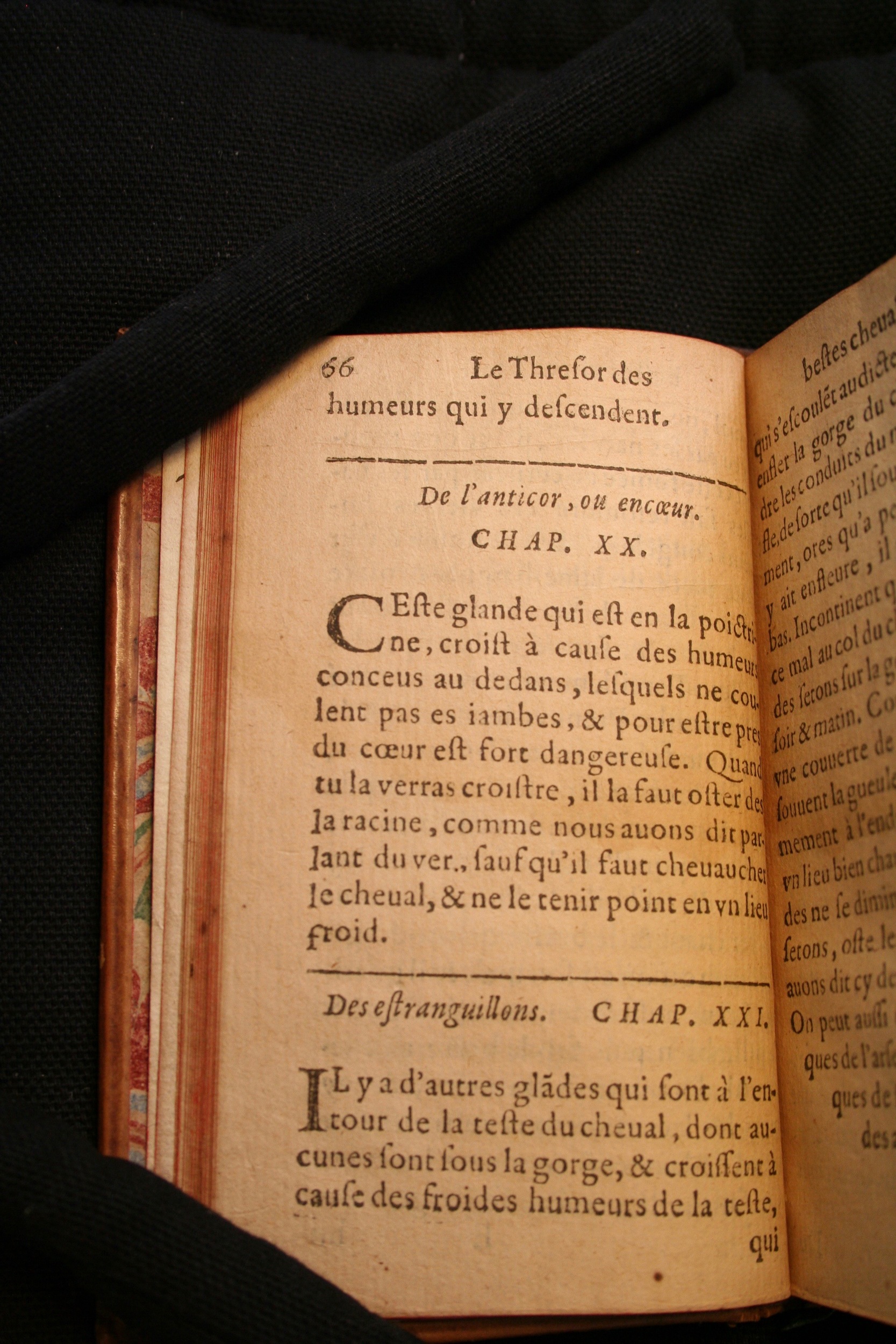 1591 - Pierre Chastaing et Benoît Rigaud - Trésor des bêtes chevalines - BM Bordeaux