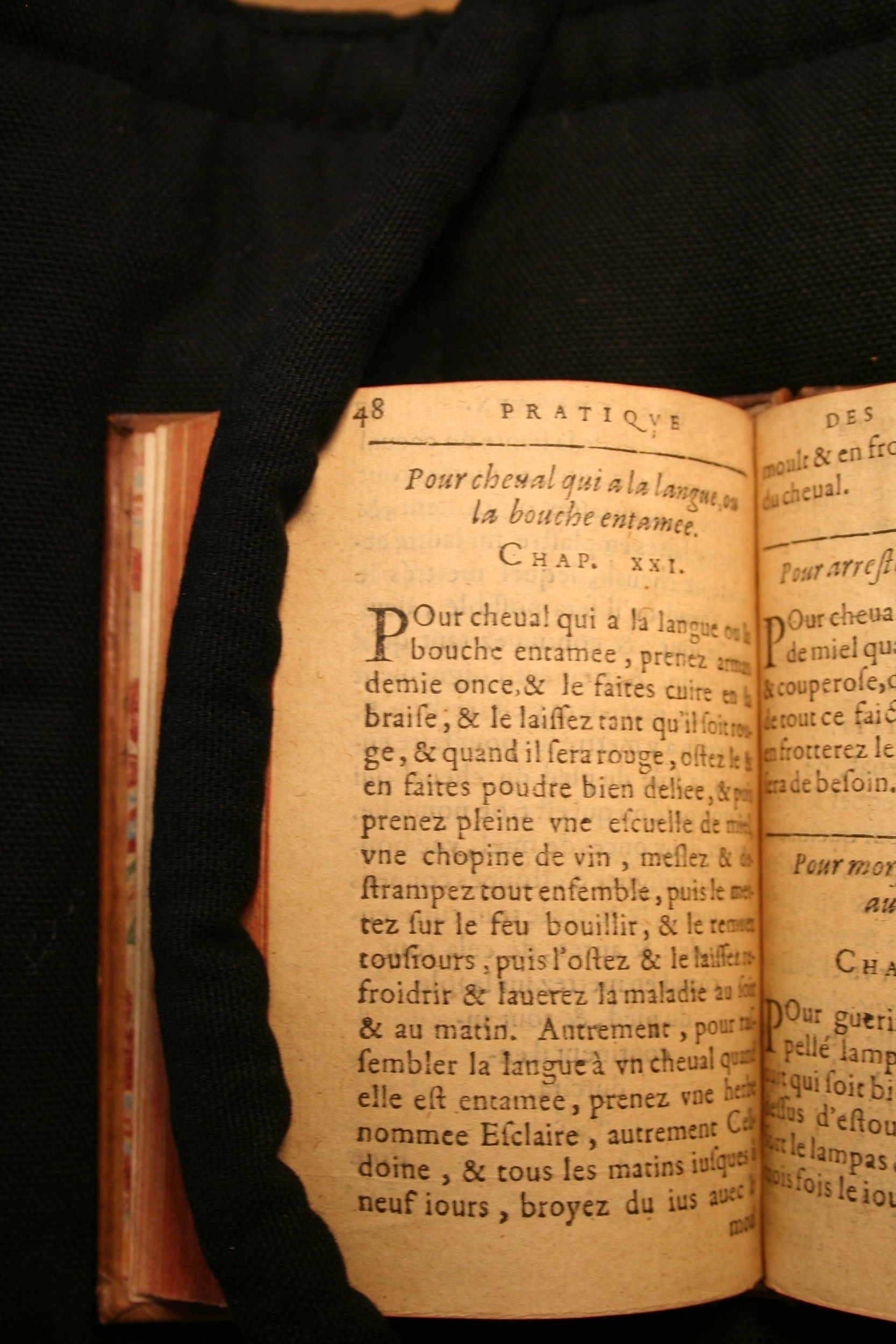 1591 - Pierre Chastaing et Benoît Rigaud - Trésor des bêtes chevalines - BM Bordeaux