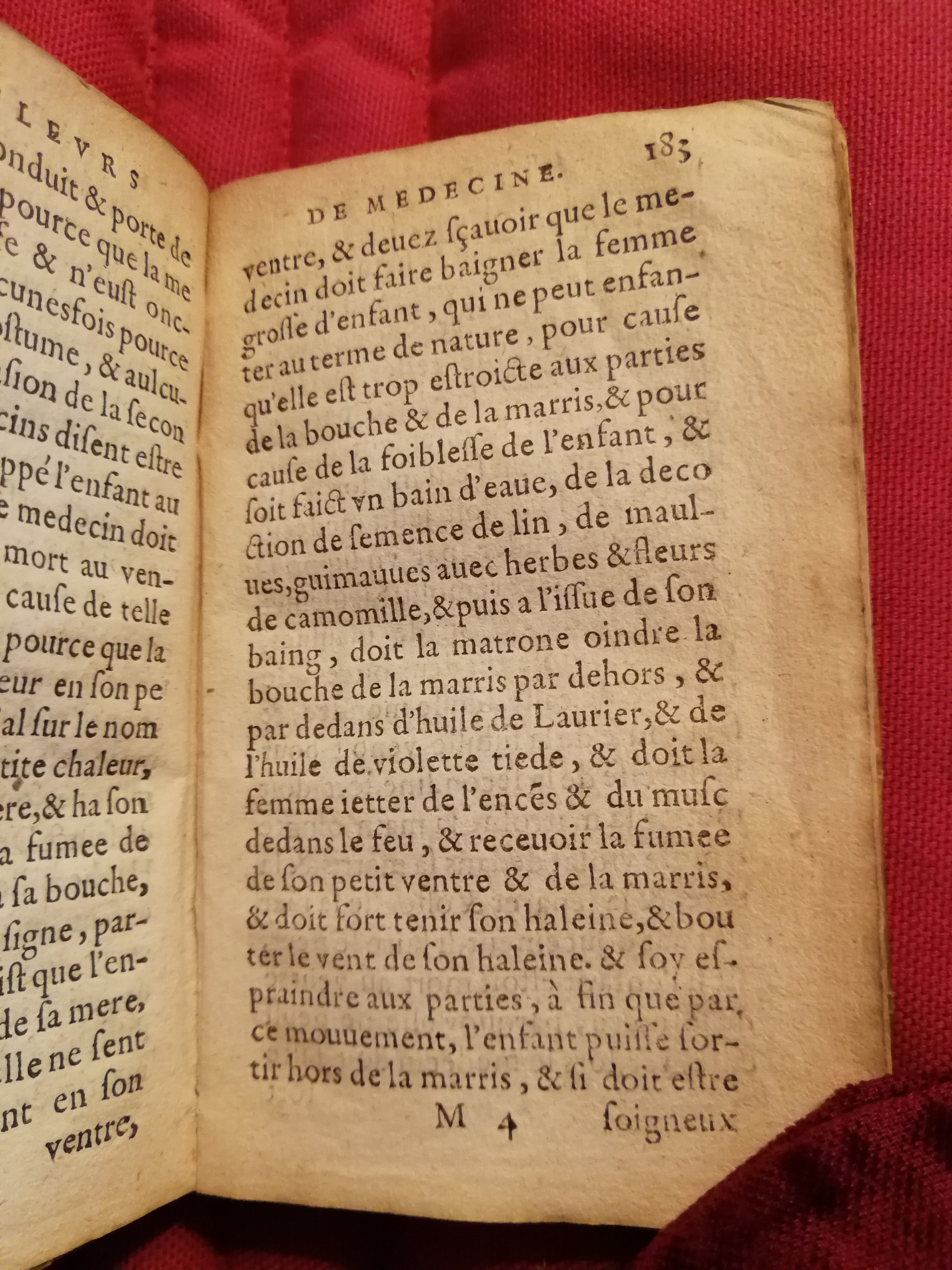 1586 - Benoît Rigaud - Trésor des fleurs et secrets de médecine - Sainte-Geneviève