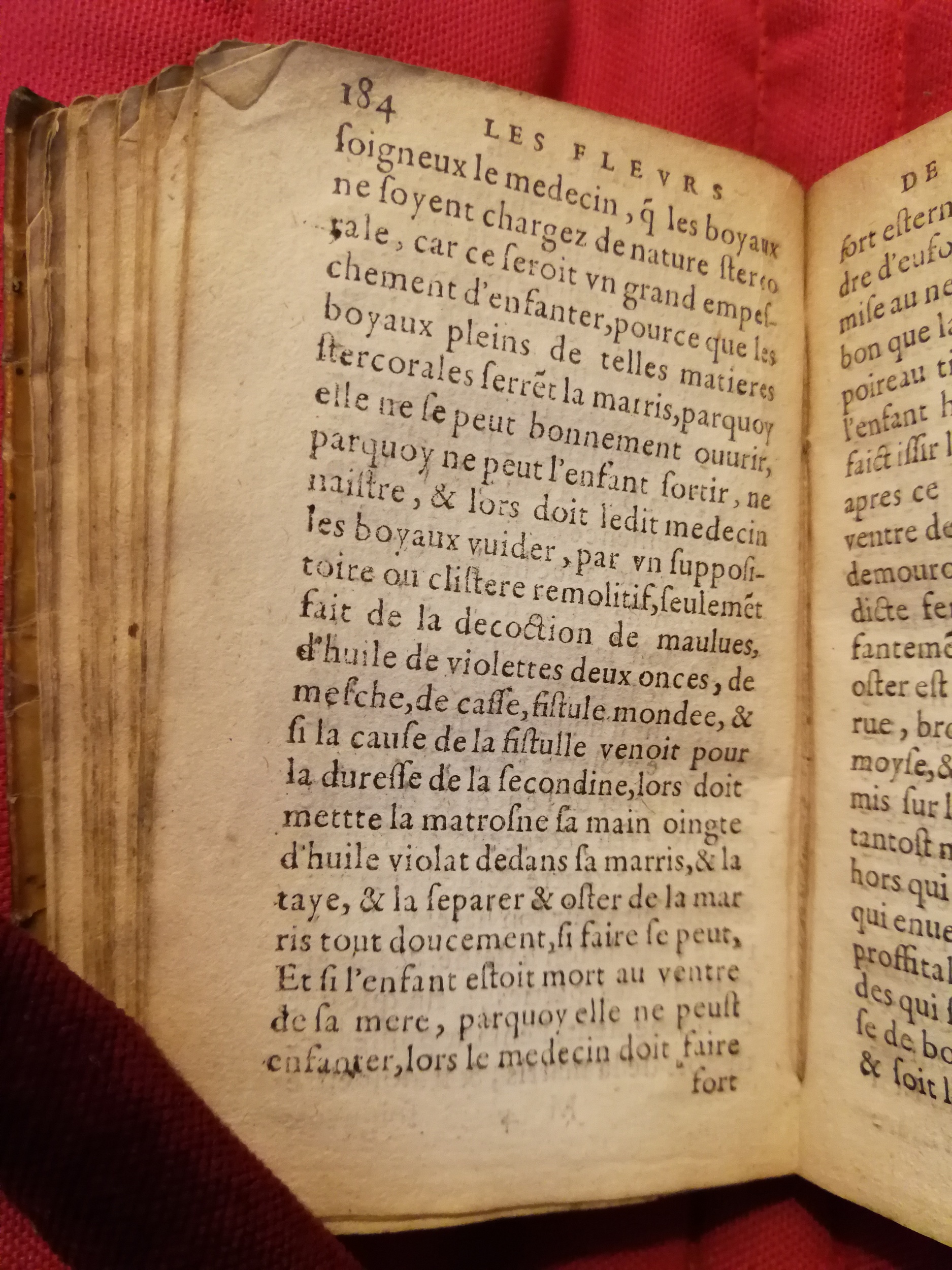 1586 - Benoît Rigaud - Trésor des fleurs et secrets de médecine - Sainte-Geneviève