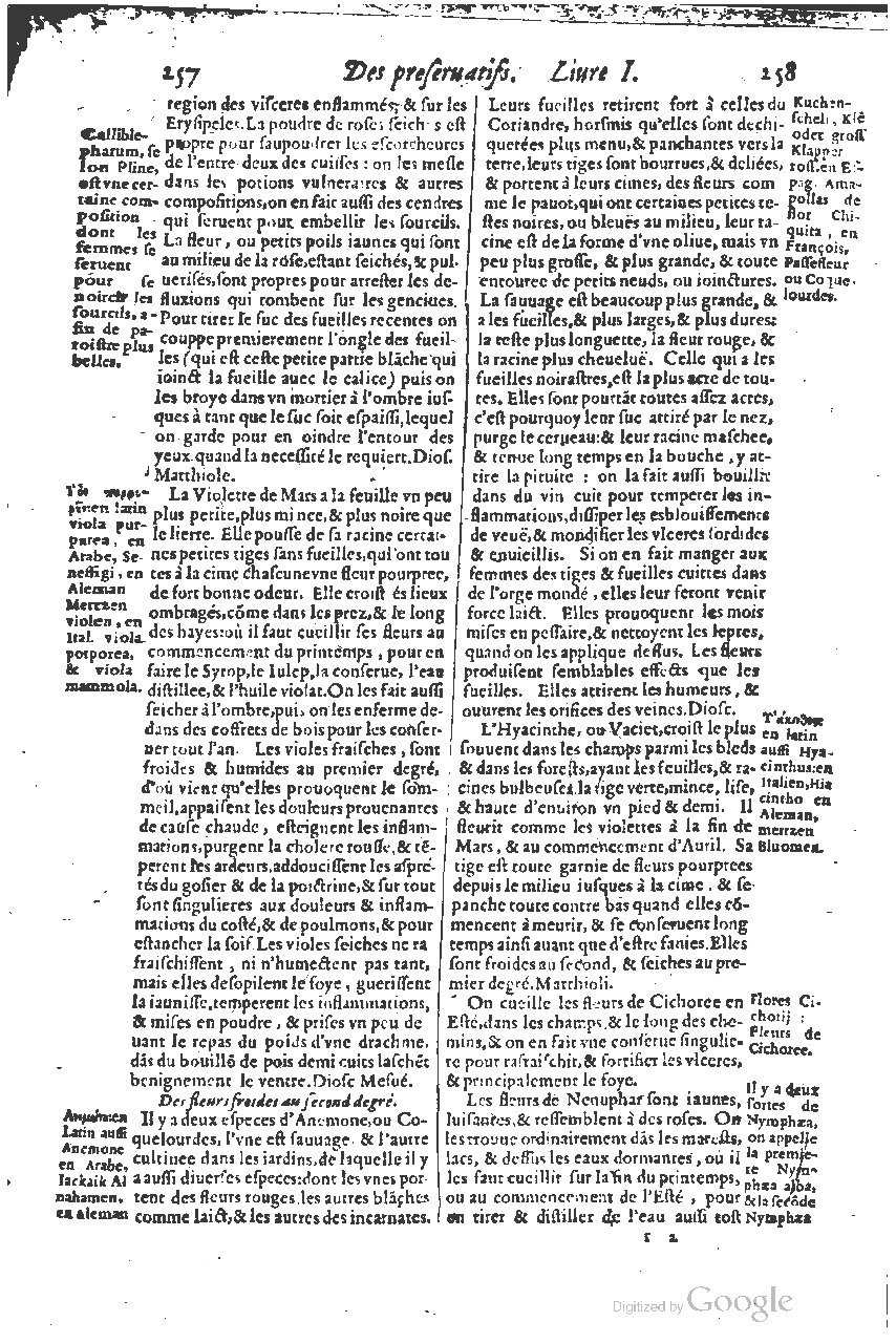 1616 - Étienne Gamonet - Grand trésor ou dispensaire - BSB Munich