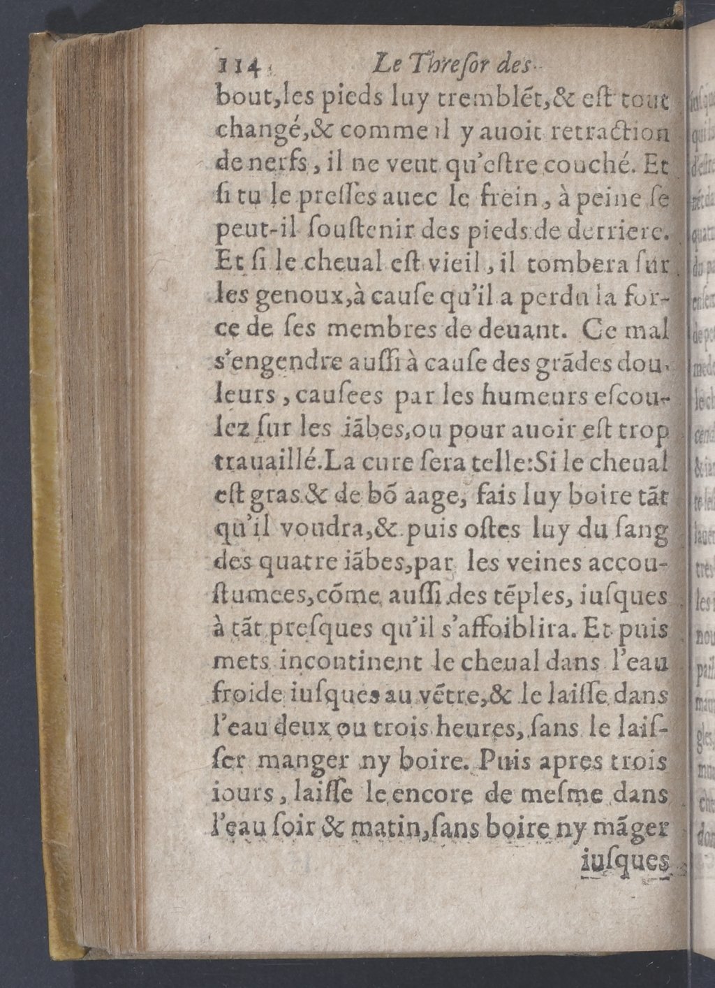 1619 - Pierre Rigaud - Trésor des bêtes chevalines - BnF
