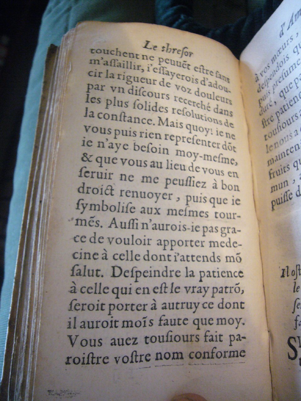 1597 - Matthieu Guillemot - Trésor d’amour - BnF Arsenal