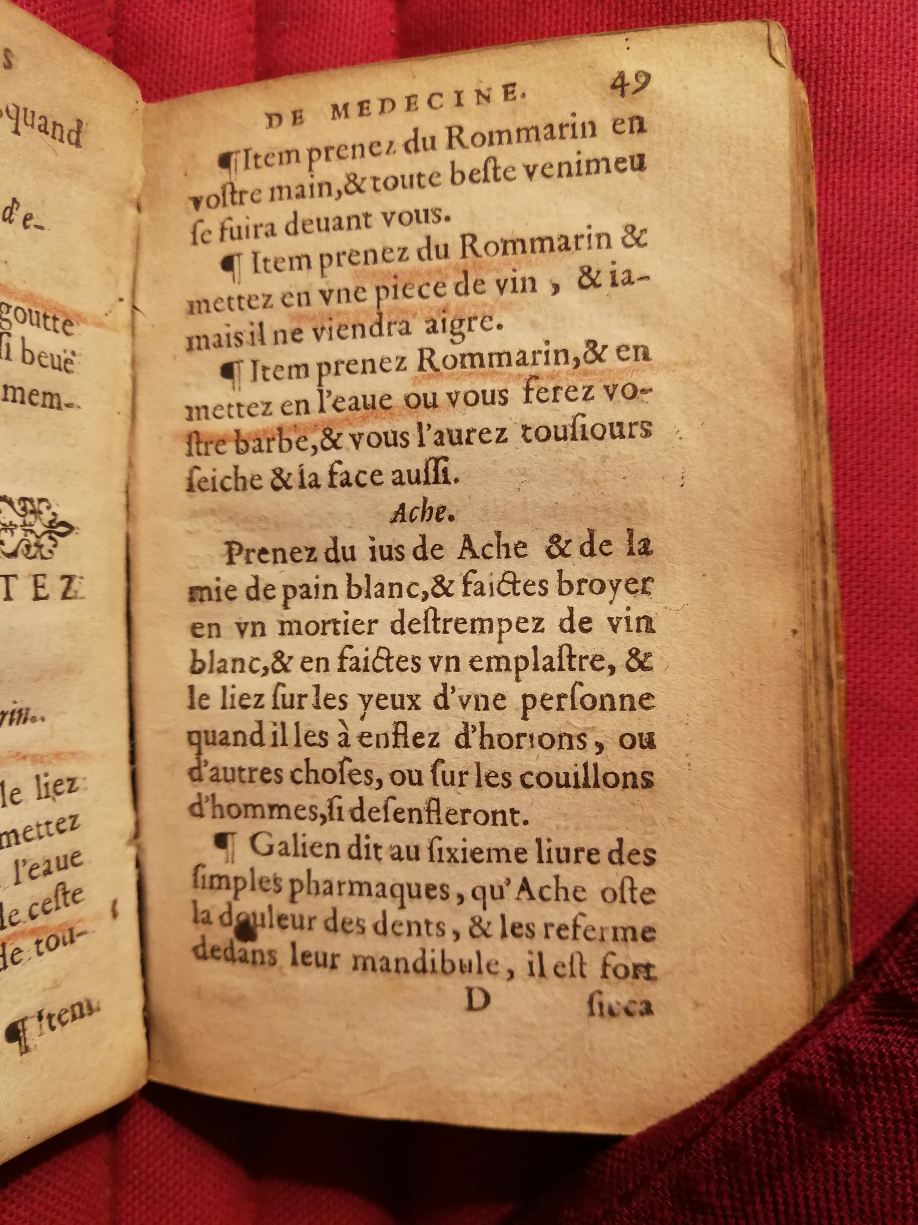 1586 - Benoît Rigaud - Trésor des fleurs et secrets de médecine - Sainte-Geneviève