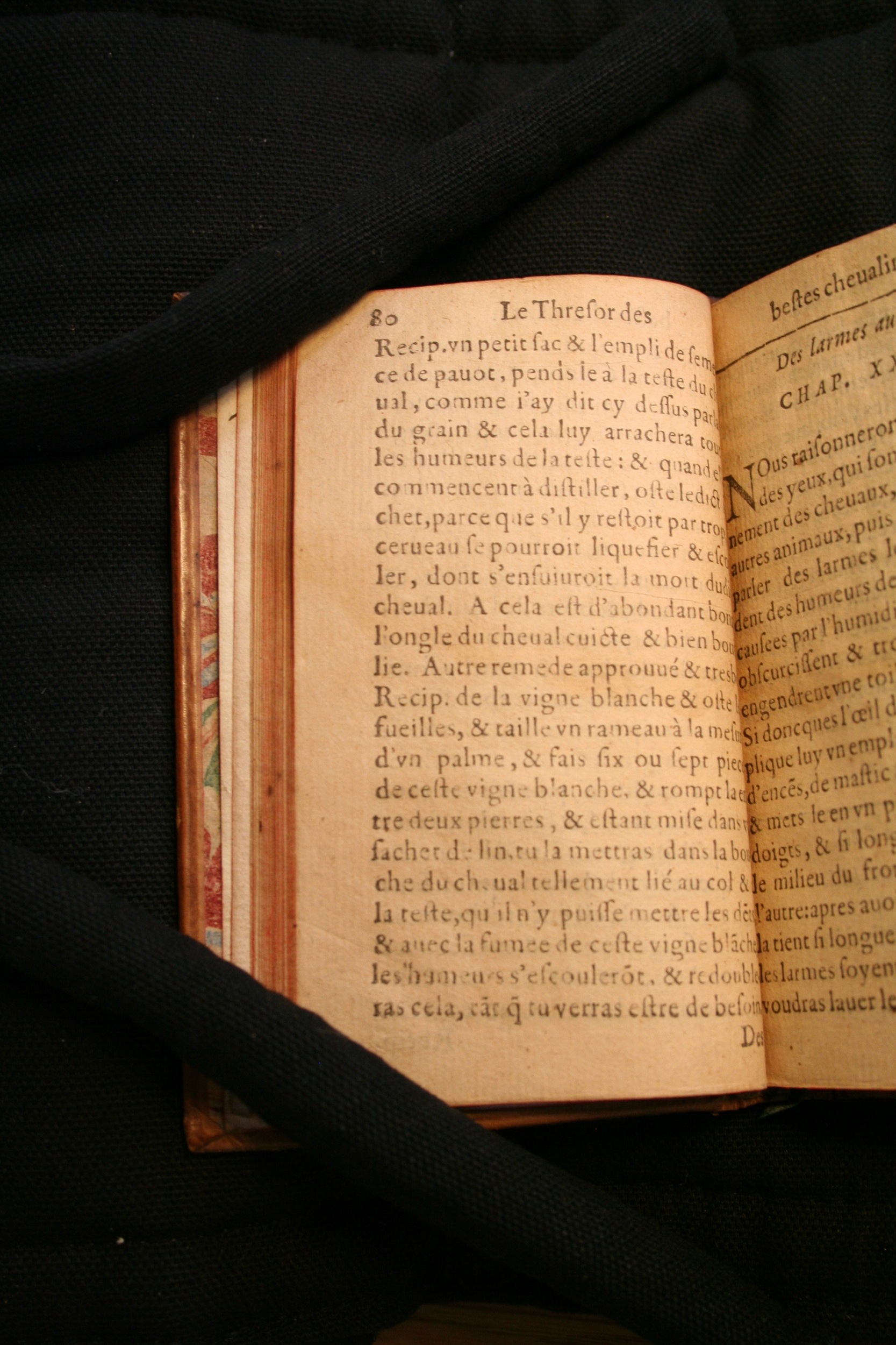 1591 - Pierre Chastaing et Benoît Rigaud - Trésor des bêtes chevalines - BM Bordeaux