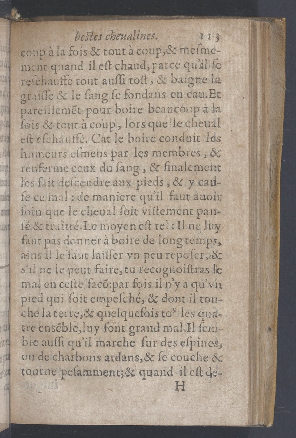 1619 - Pierre Rigaud - Trésor des bêtes chevalines - BnF 1619 - Pierre Rigaud - Trésor des bêtes chevalines - BnF