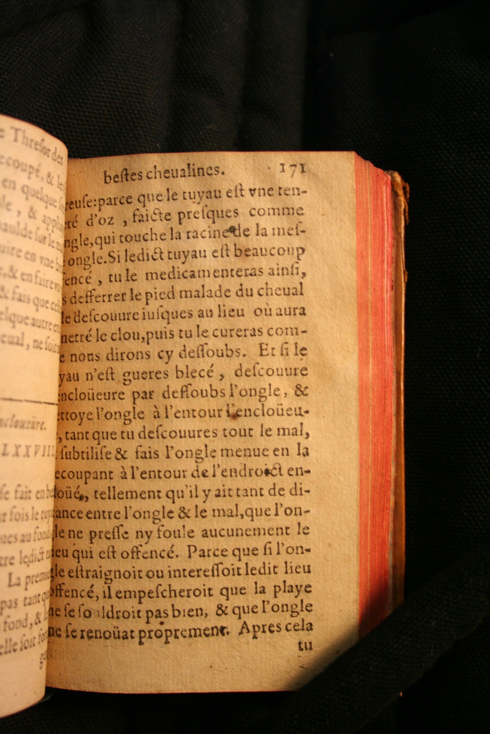 1591 - Pierre Chastaing et Benoît Rigaud - Trésor des bêtes chevalines - BM Bordeaux