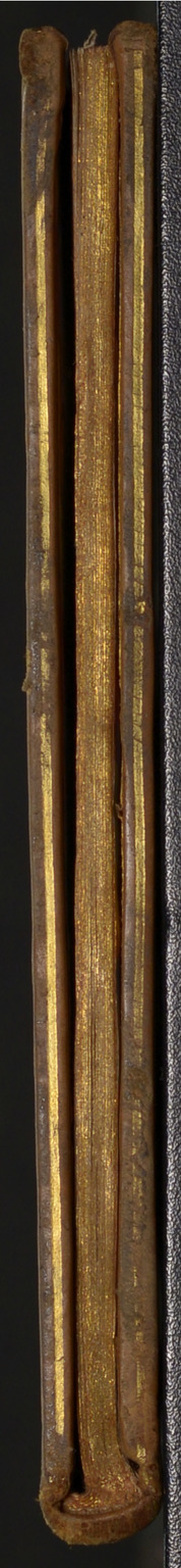 1616 - s.n. - Trésor des trésors de France - BnF Arsenal
