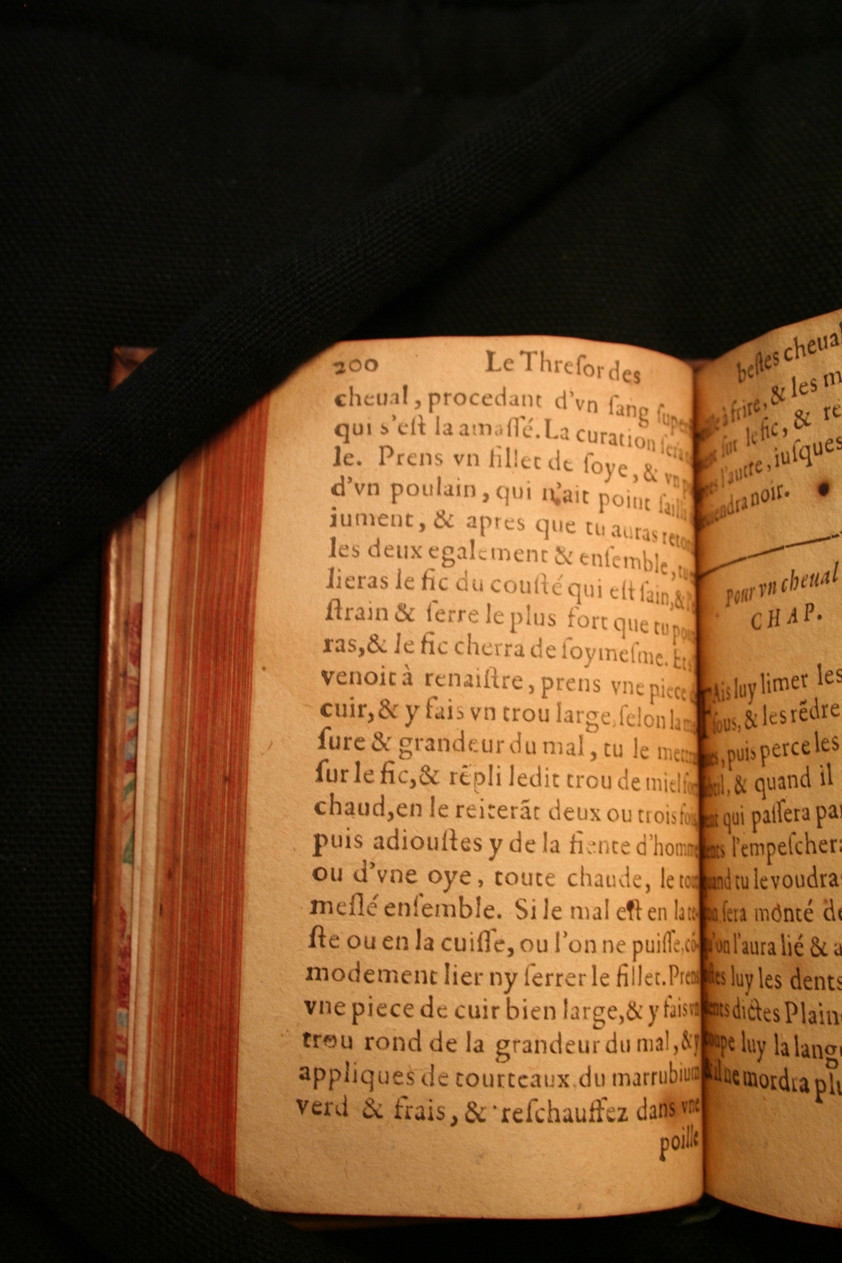 1591 - Pierre Chastaing et Benoît Rigaud - Trésor des bêtes chevalines - BM Bordeaux