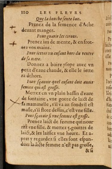 1586 - Benoît Rigaud - Trésor des fleurs et secrets de médecine - Université Paris Cité