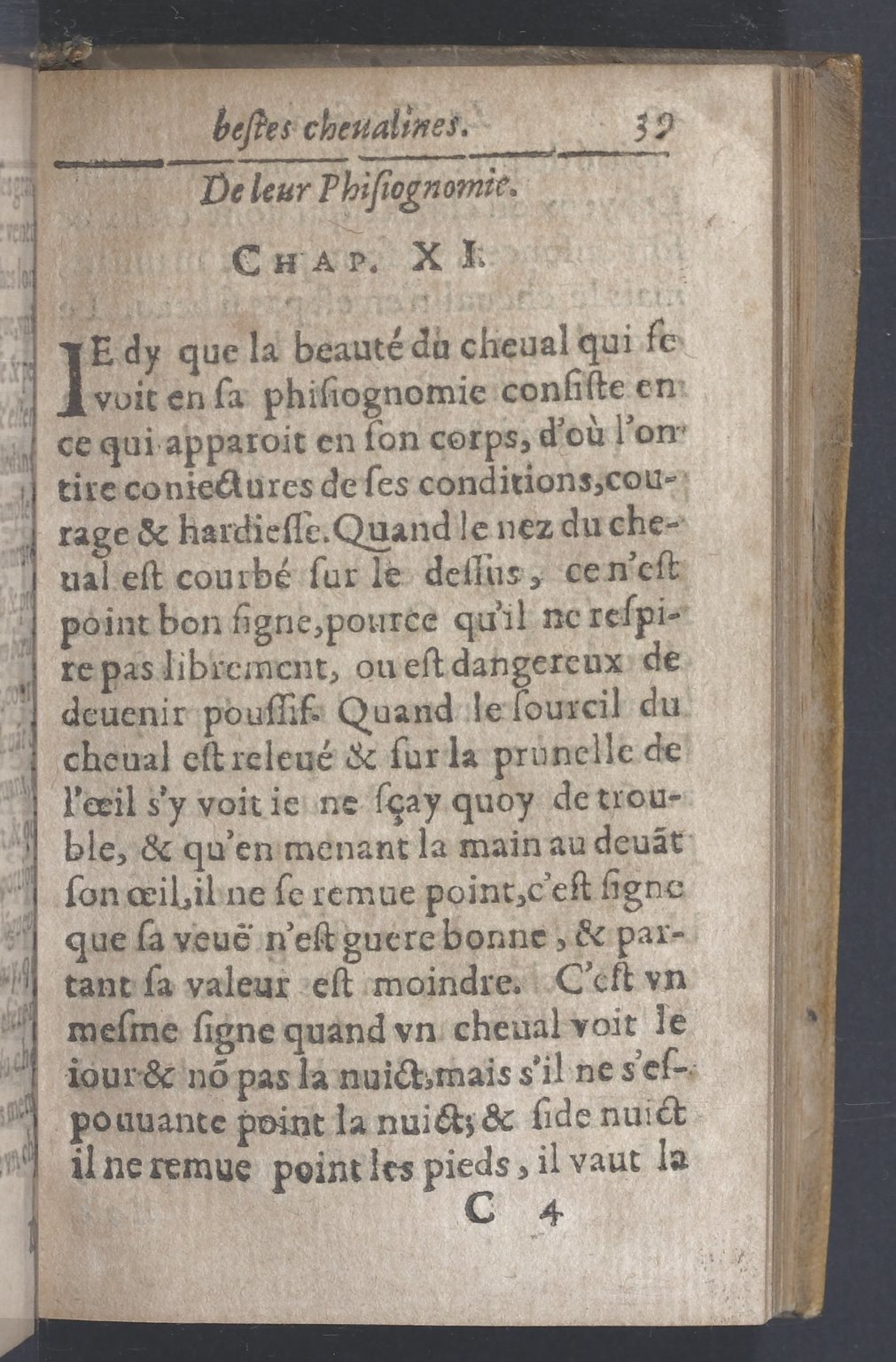 1619 - Pierre Rigaud - Trésor des bêtes chevalines - BnF 1619 - Pierre Rigaud - Trésor des bêtes chevalines - BnF
