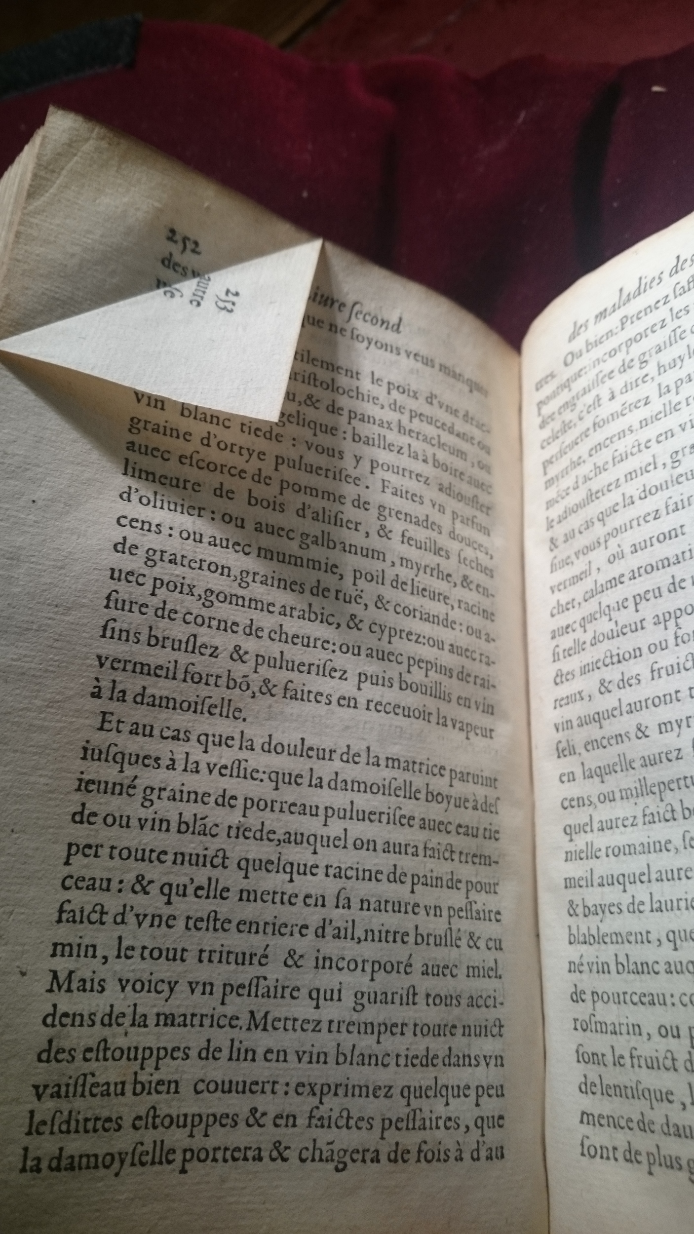 1587 - Jacques du Puis - Trésor des remèdes secrets pour les maladies des femmes - BM Amiens