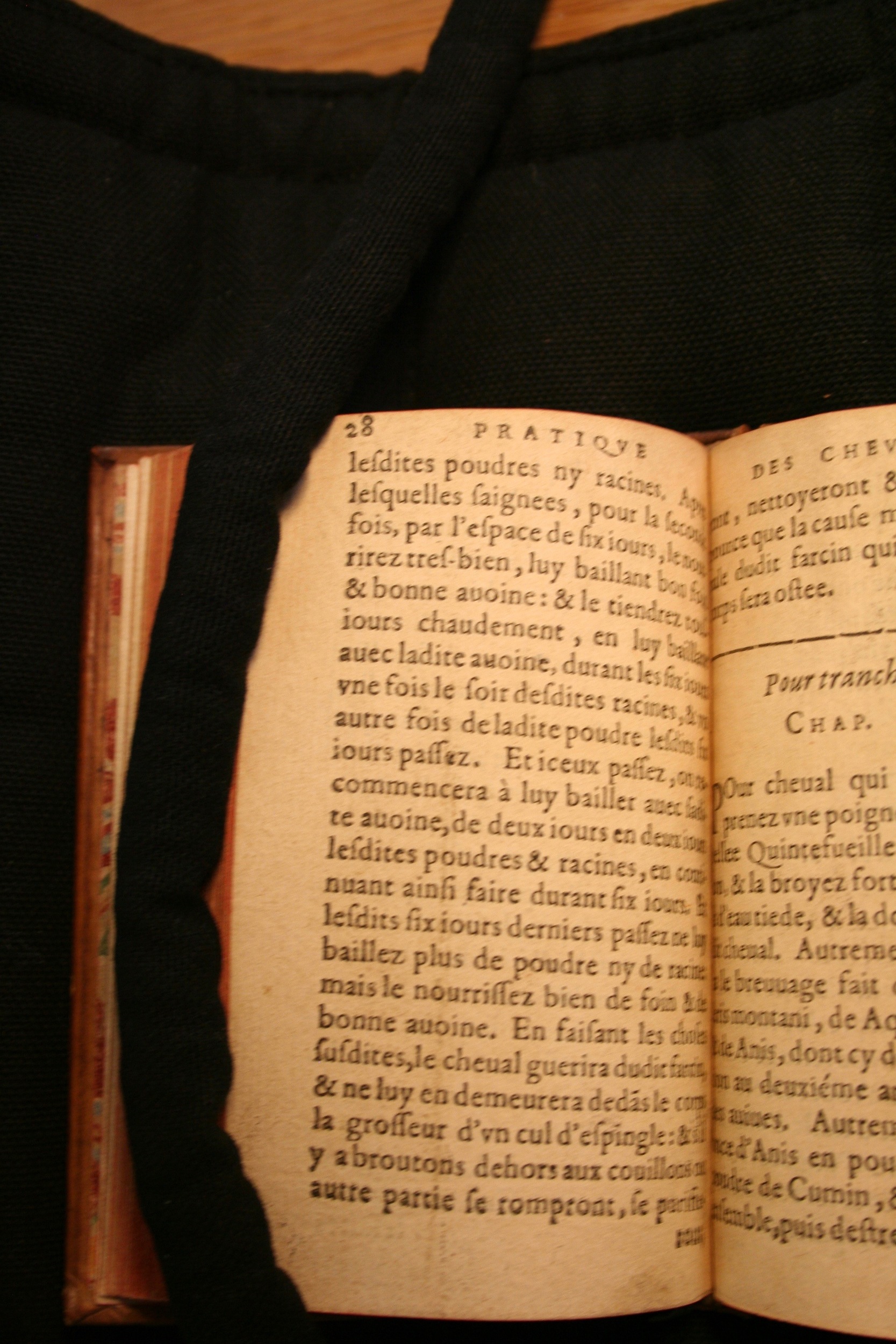 1591 - Pierre Chastaing et Benoît Rigaud - Trésor des bêtes chevalines - BM Bordeaux