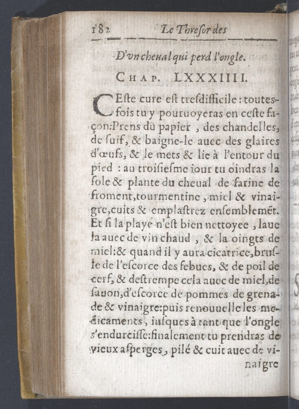 1619 - Pierre Rigaud - Trésor des bêtes chevalines - BnF