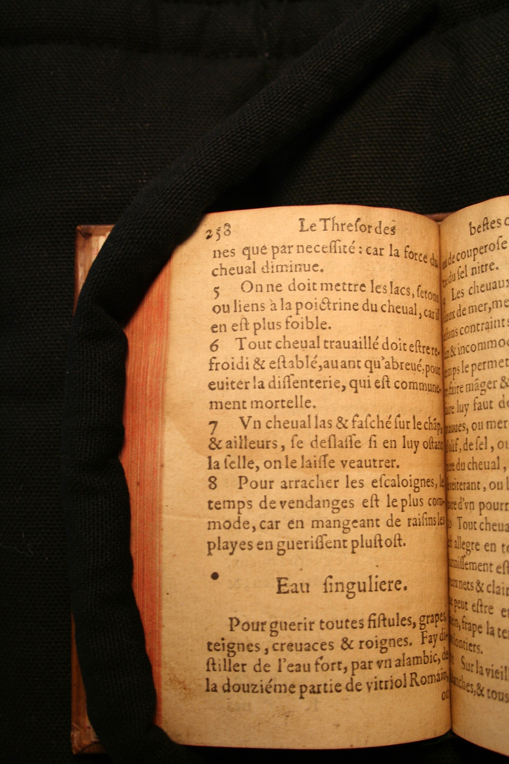 1591 - Pierre Chastaing et Benoît Rigaud - Trésor des bêtes chevalines - BM Bordeaux