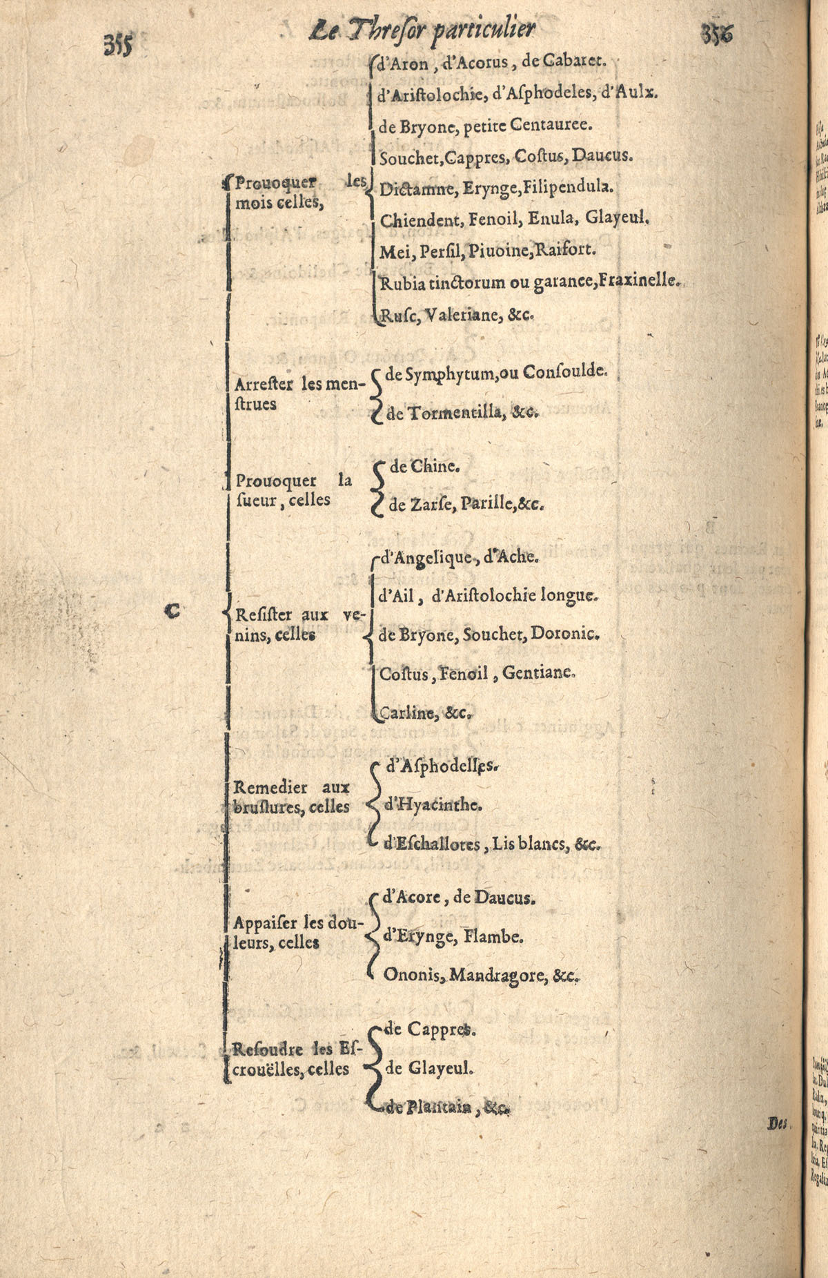 1610 - Étienne Gamonet - Grand Trésor ou dispensaire - CESR Tours