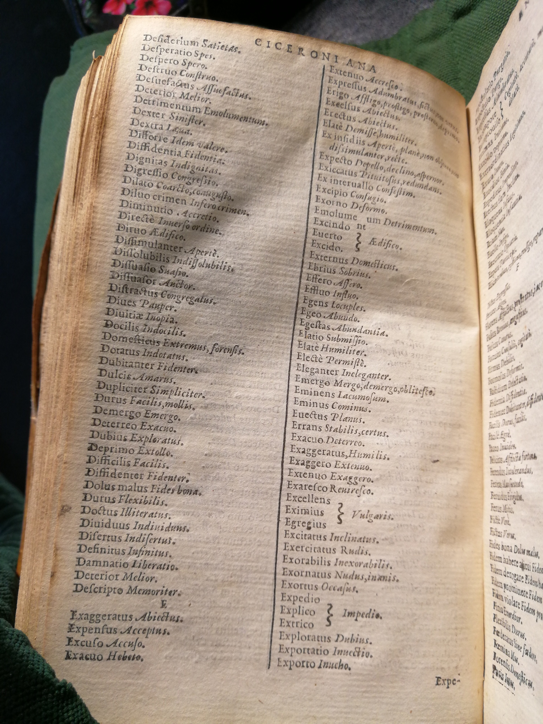 1597 - Martin le Mégissier - Trésor des mots et traits français - BnF 1597 - Martin le Mégissier - Trésor des mots et traits français - BnF