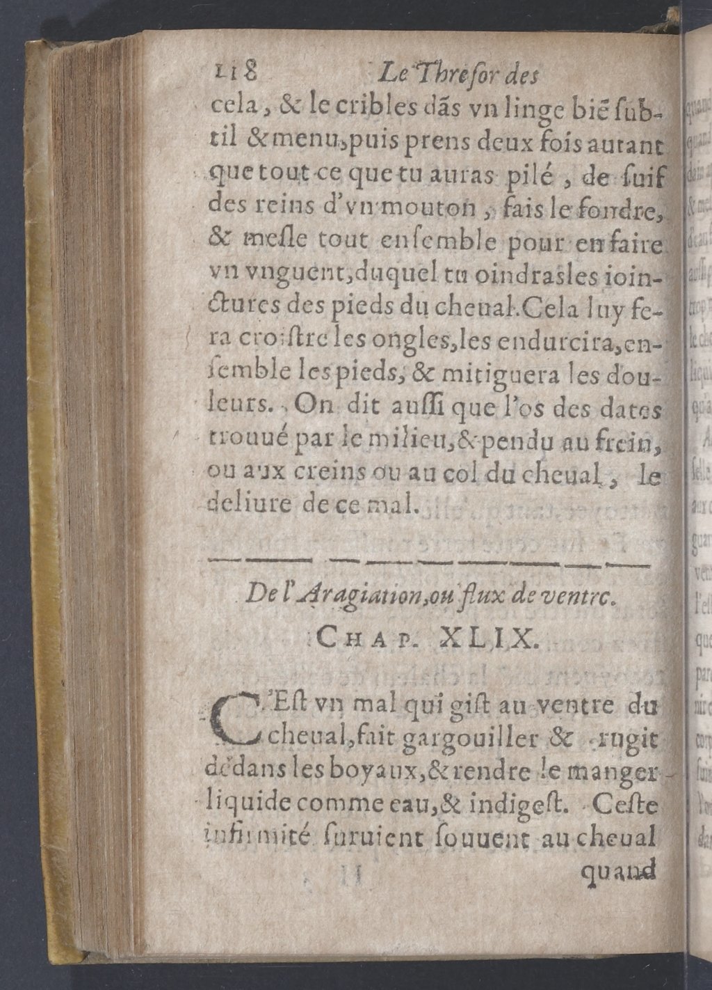 1619 - Pierre Rigaud - Trésor des bêtes chevalines - BnF