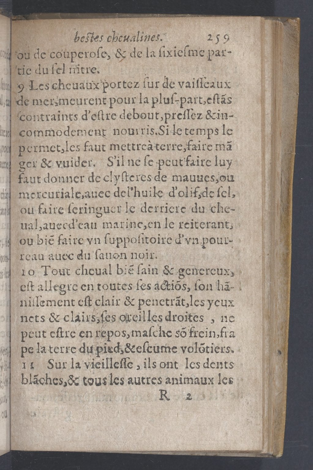 1619 - Pierre Rigaud - Trésor des bêtes chevalines - BnF 1619 - Pierre Rigaud - Trésor des bêtes chevalines - BnF