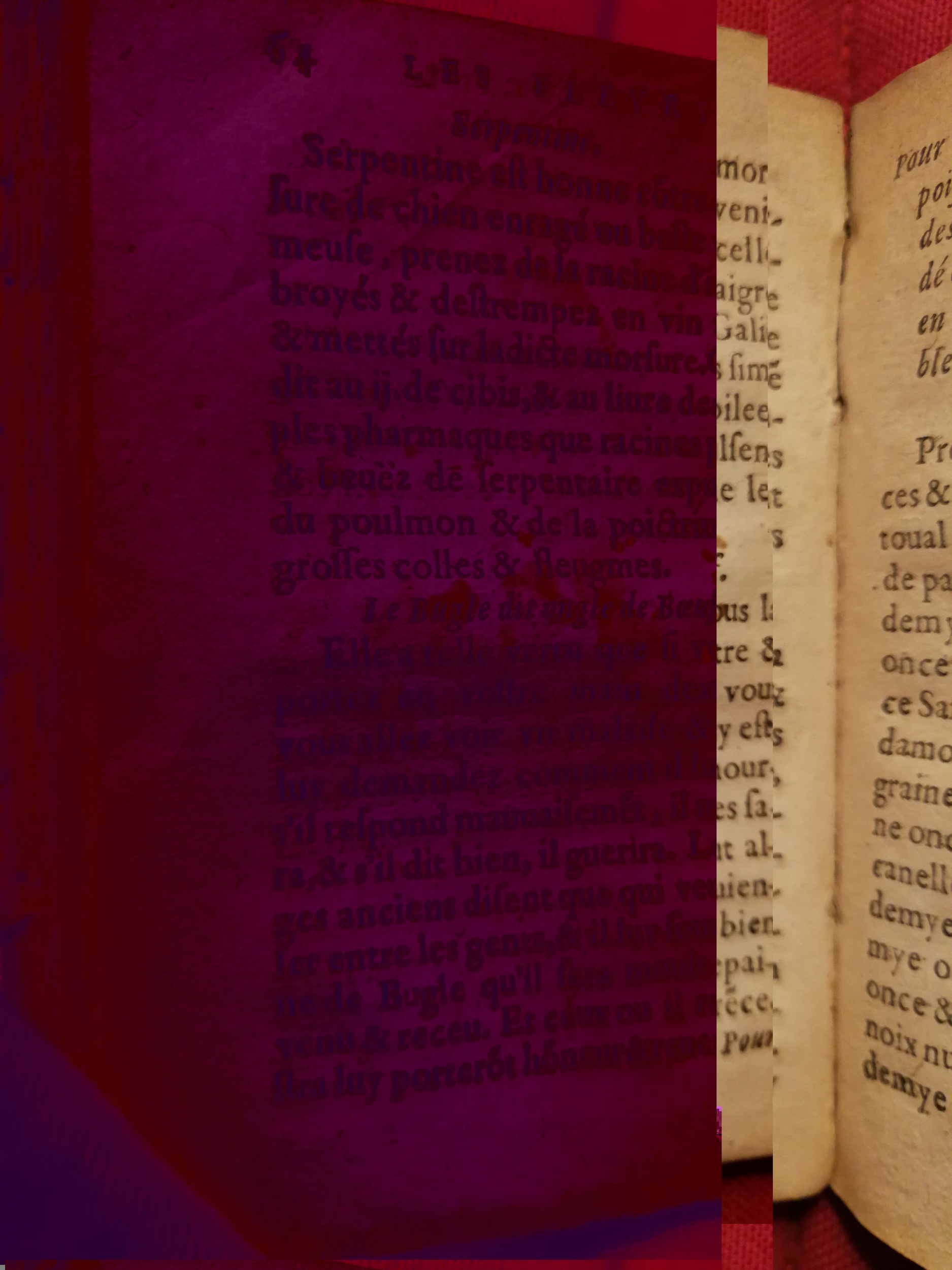 1586 - Benoît Rigaud - Trésor des fleurs et secrets de médecine - Sainte-Geneviève 1586 - Benoît Rigaud - Trésor des fleurs et secrets de médecine - Sainte-Geneviève