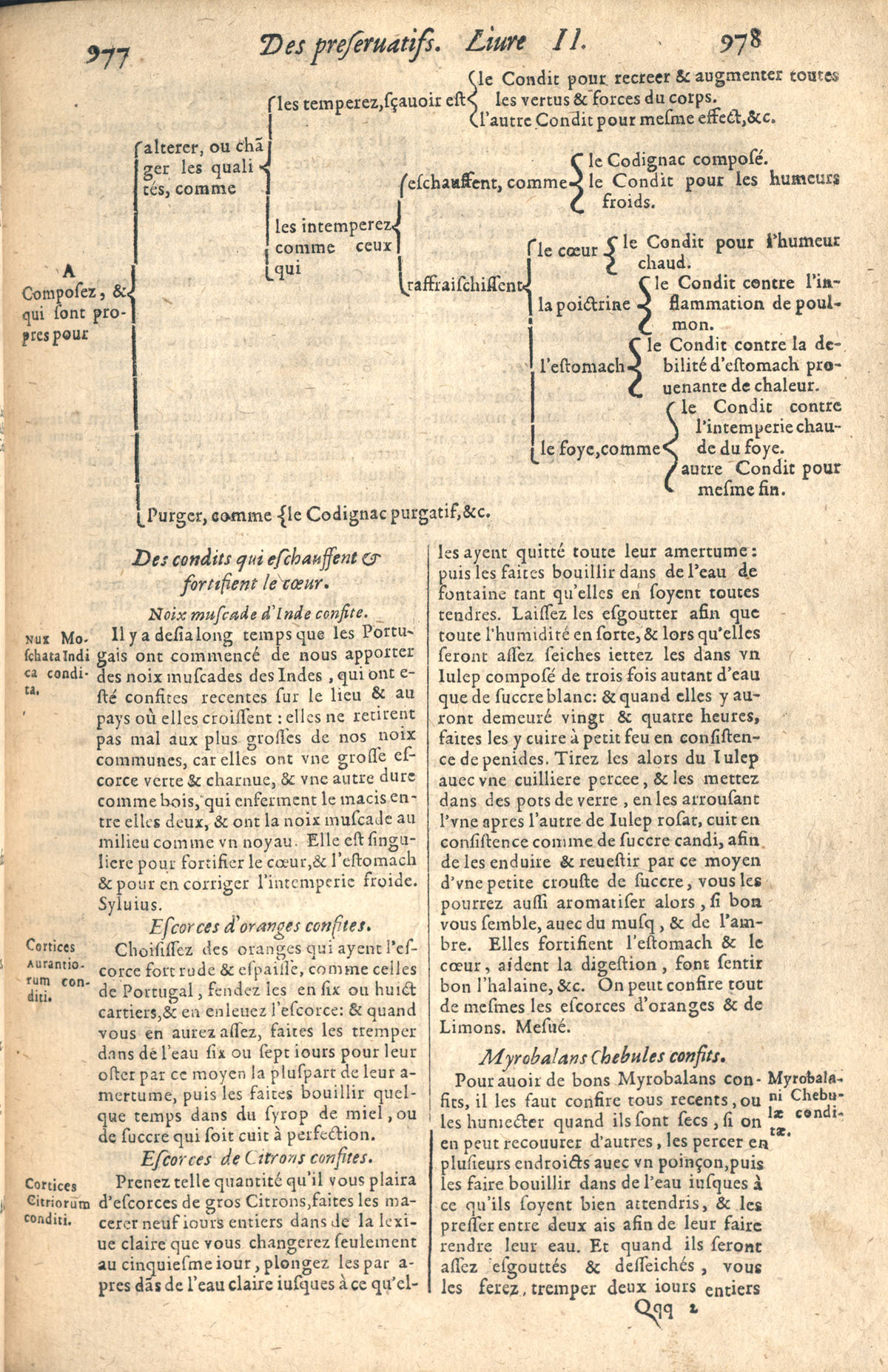 1610 Étienne Gamonet Grand thresor ou Dispensaire BVH_Tours_Page_497.jpg