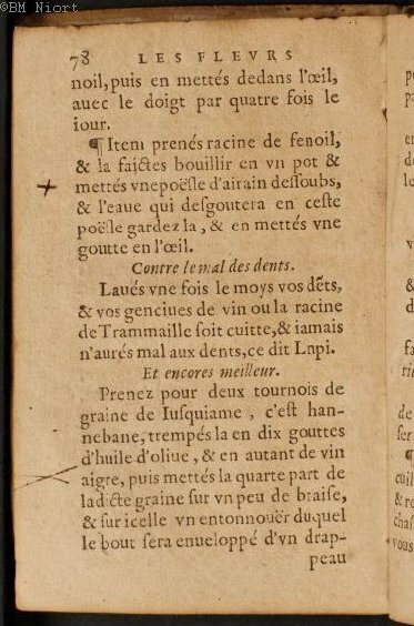 1586 - Benoît Rigaud - Trésor des fleurs et secrets de médecine - Université Paris Cité 1586 - Benoît Rigaud - Trésor des fleurs et secrets de médecine - Université Paris Cité