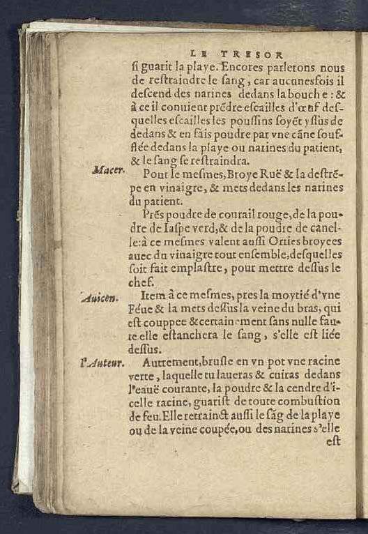 1590 - Benoît Rigaud - Trésor des pauvres - Mucem 1590 - Benoît Rigaud - Trésor des pauvres - Mucem