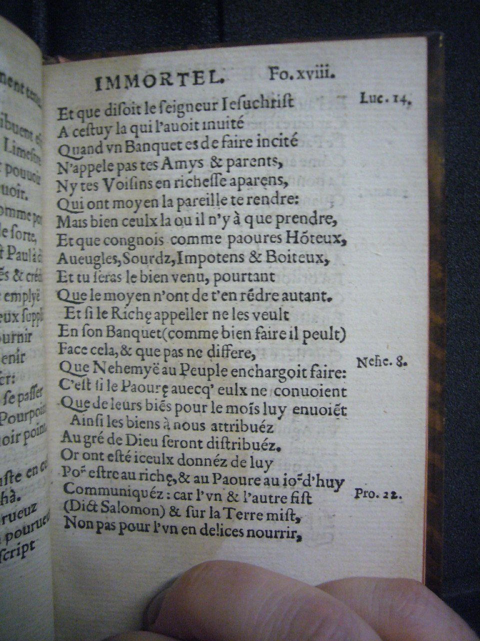 1556 - Nicolas Aubin et Martin le Mesgissier  - Trésor immortel - Versailles