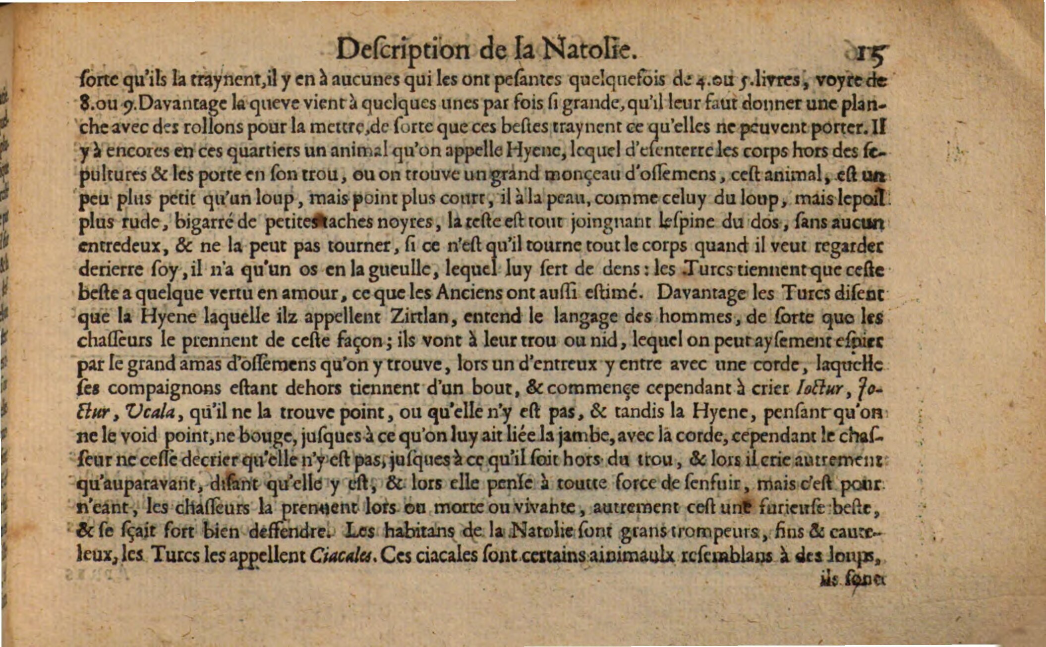 1602 - Christoffle Guyot et Corneille Nicolas - Trésor des chartes - BSB Munich