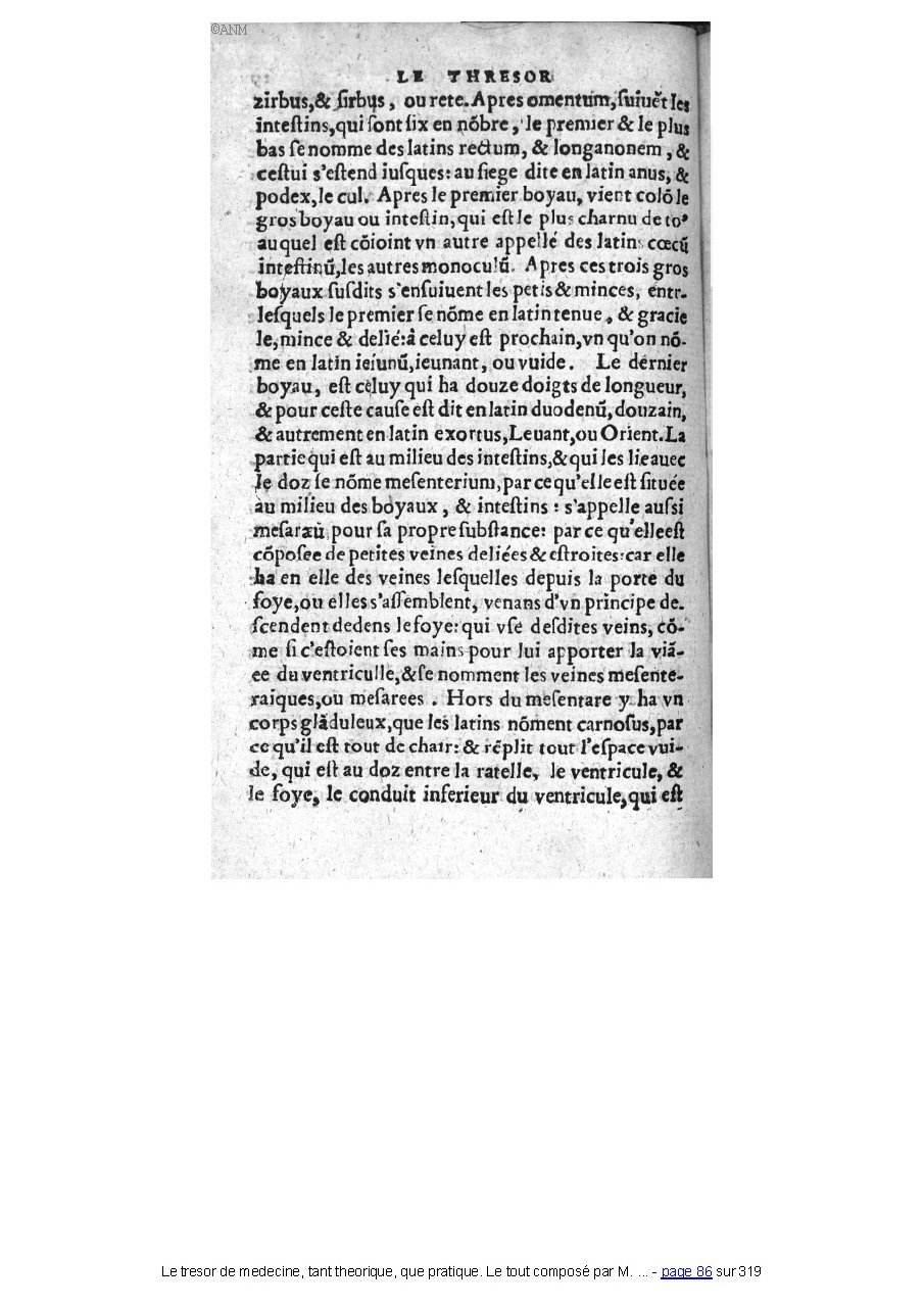1560 - Pierre et Jan Moine - Trésor de médecine - Université Paris Cité
